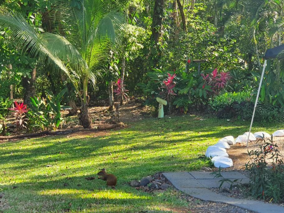 Villa Tucan
