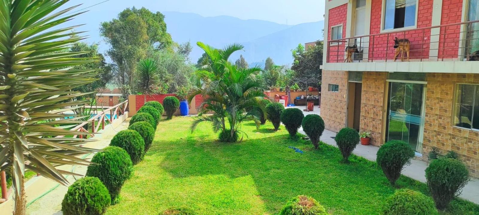 Amachito's Casa Recreacional view 5