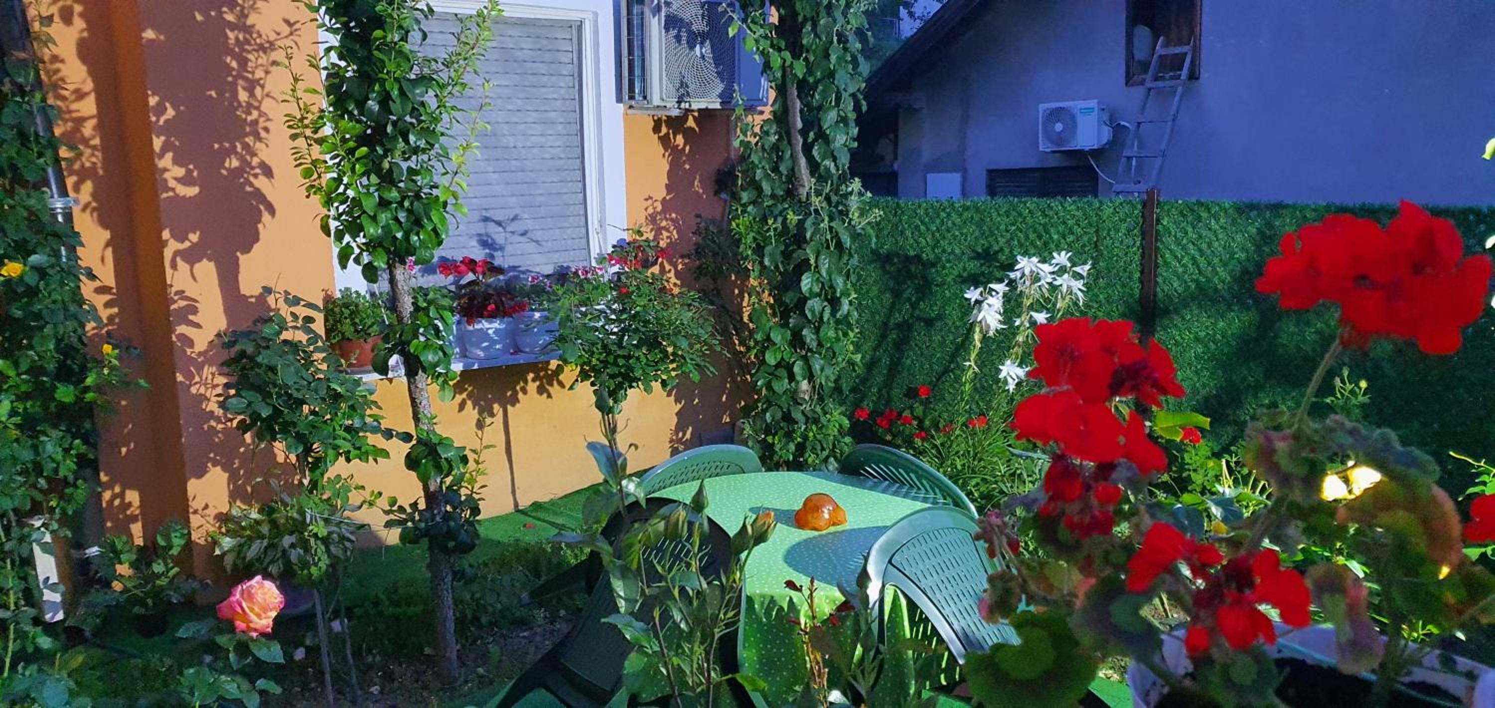 Apartman Lama view 4