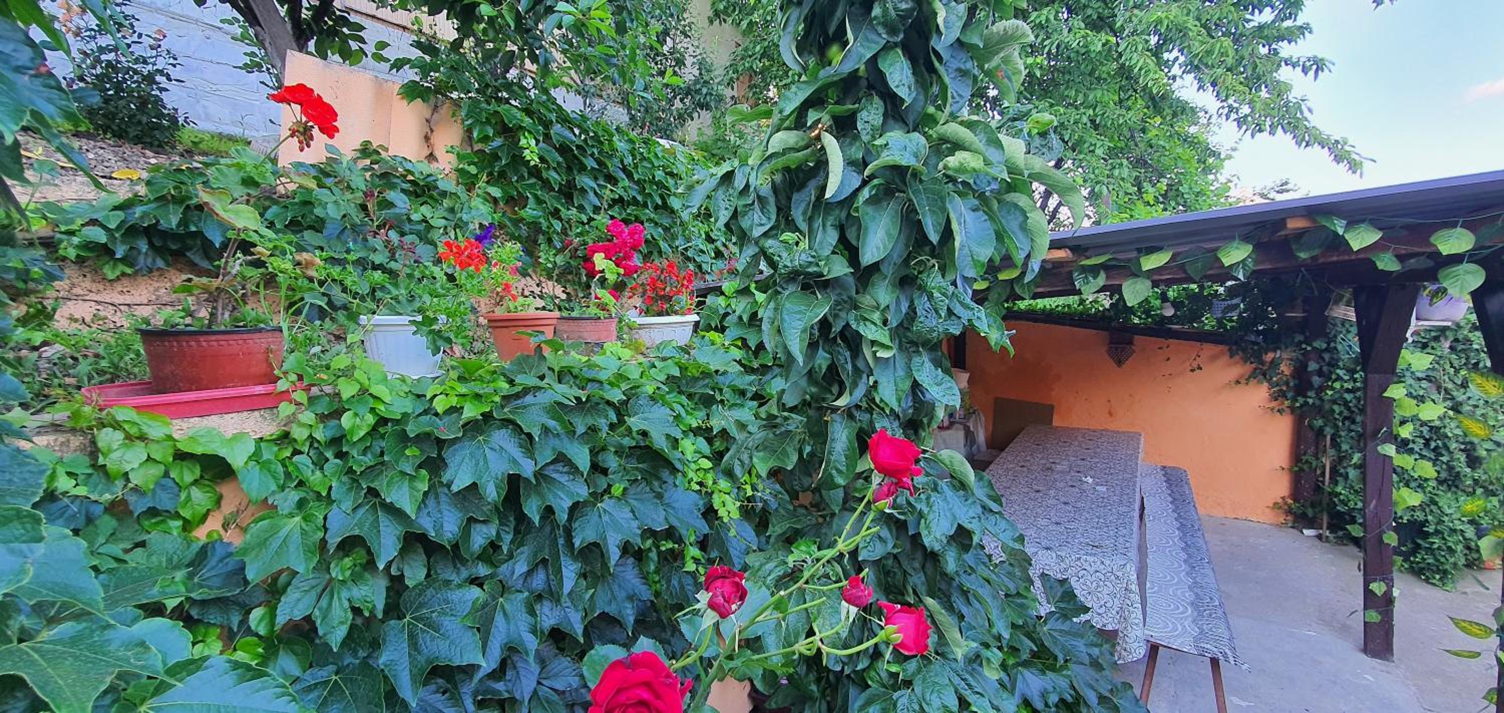 Photo 39
