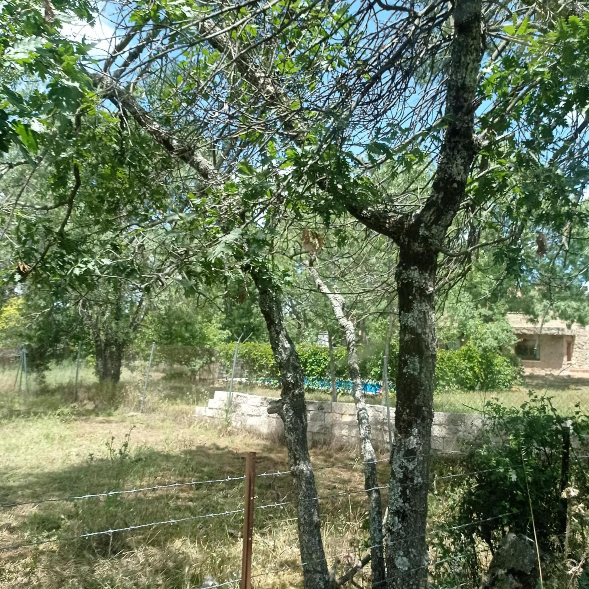 Casa Rural Viñas Perdidas