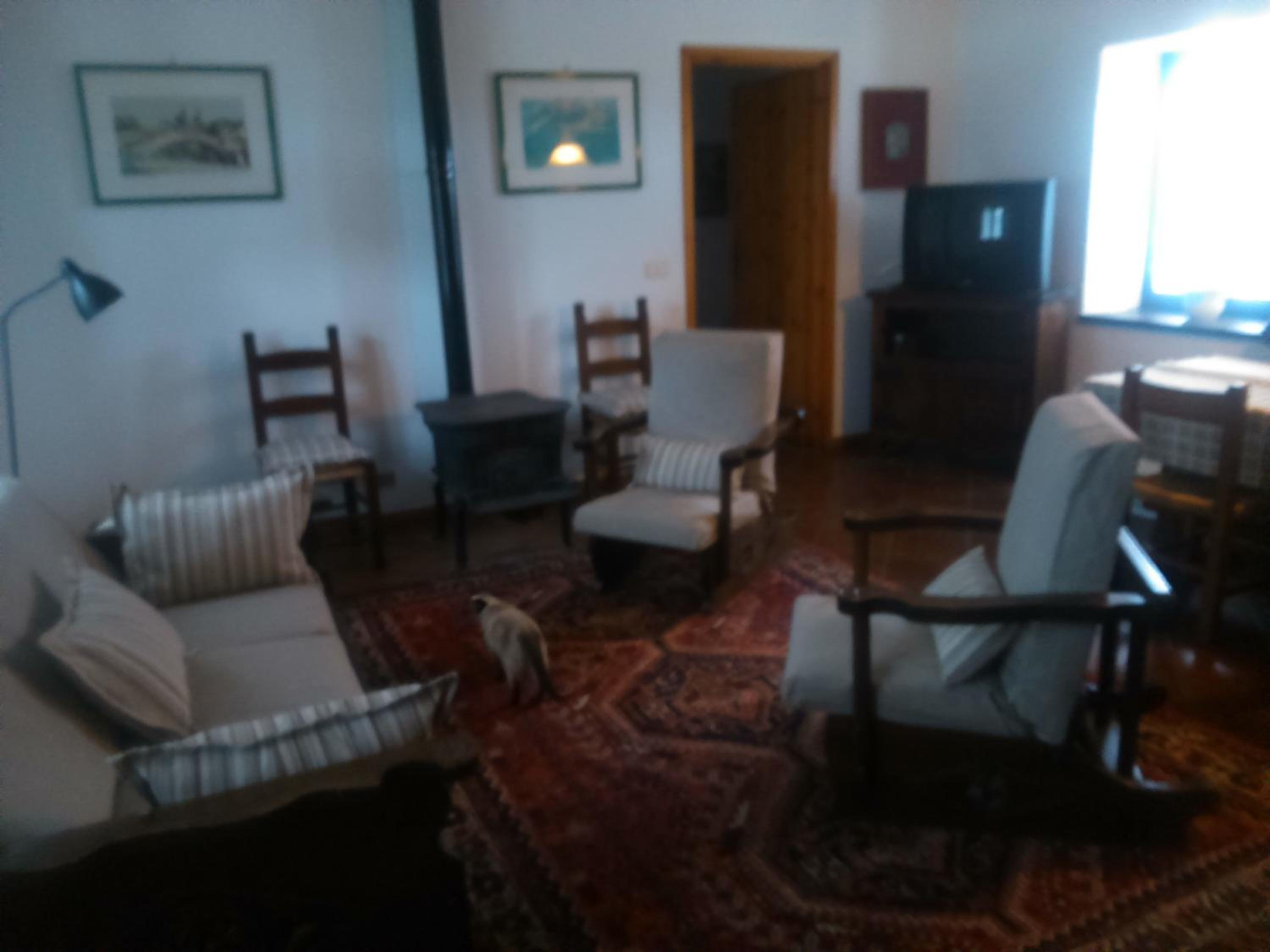 Casa Ramonda