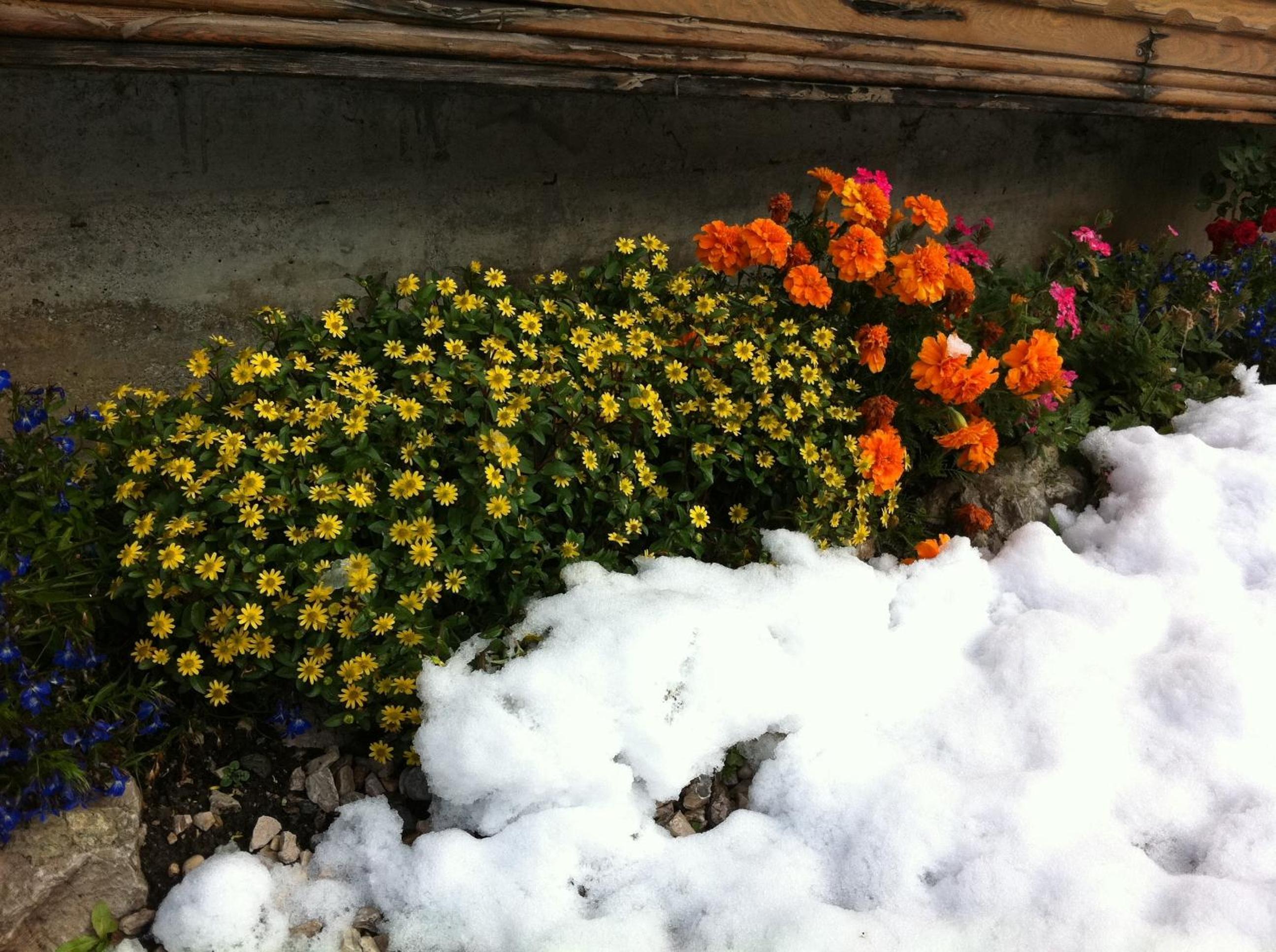 Photo 26