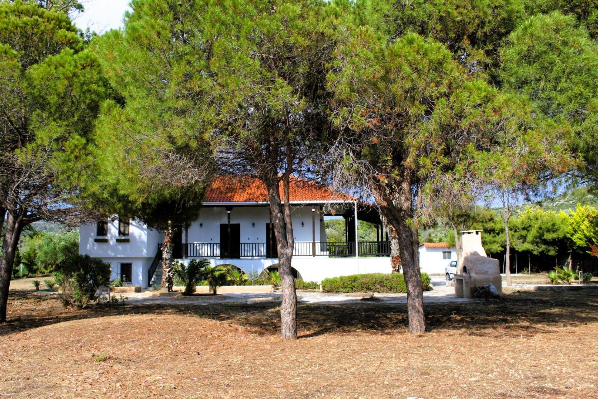 Photo 49