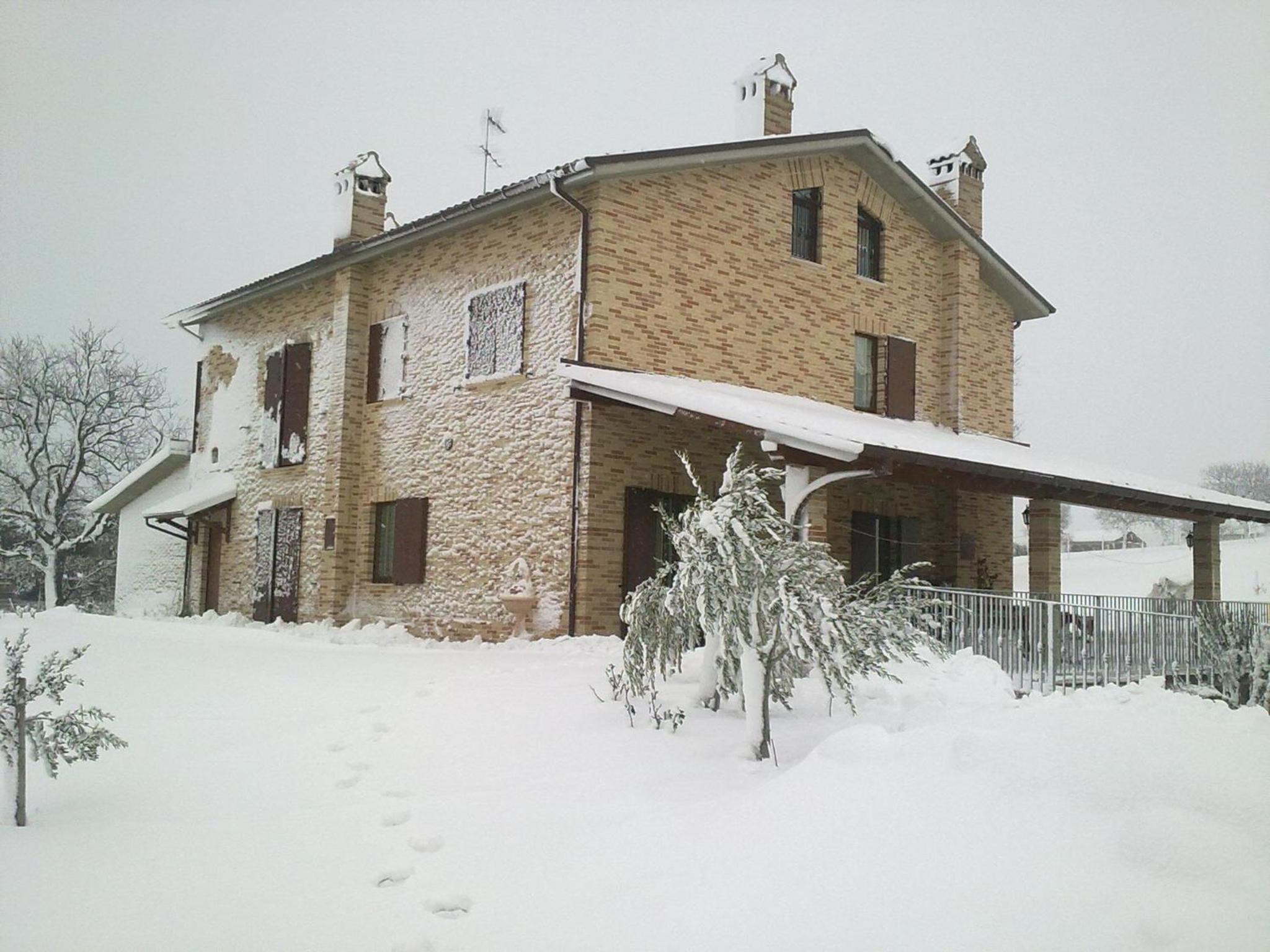 Photo 49