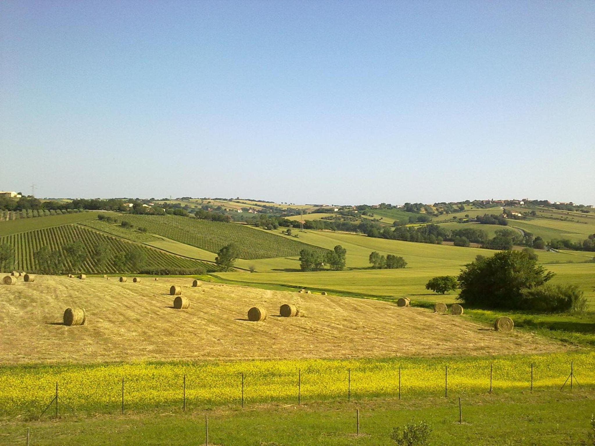 Photo 42