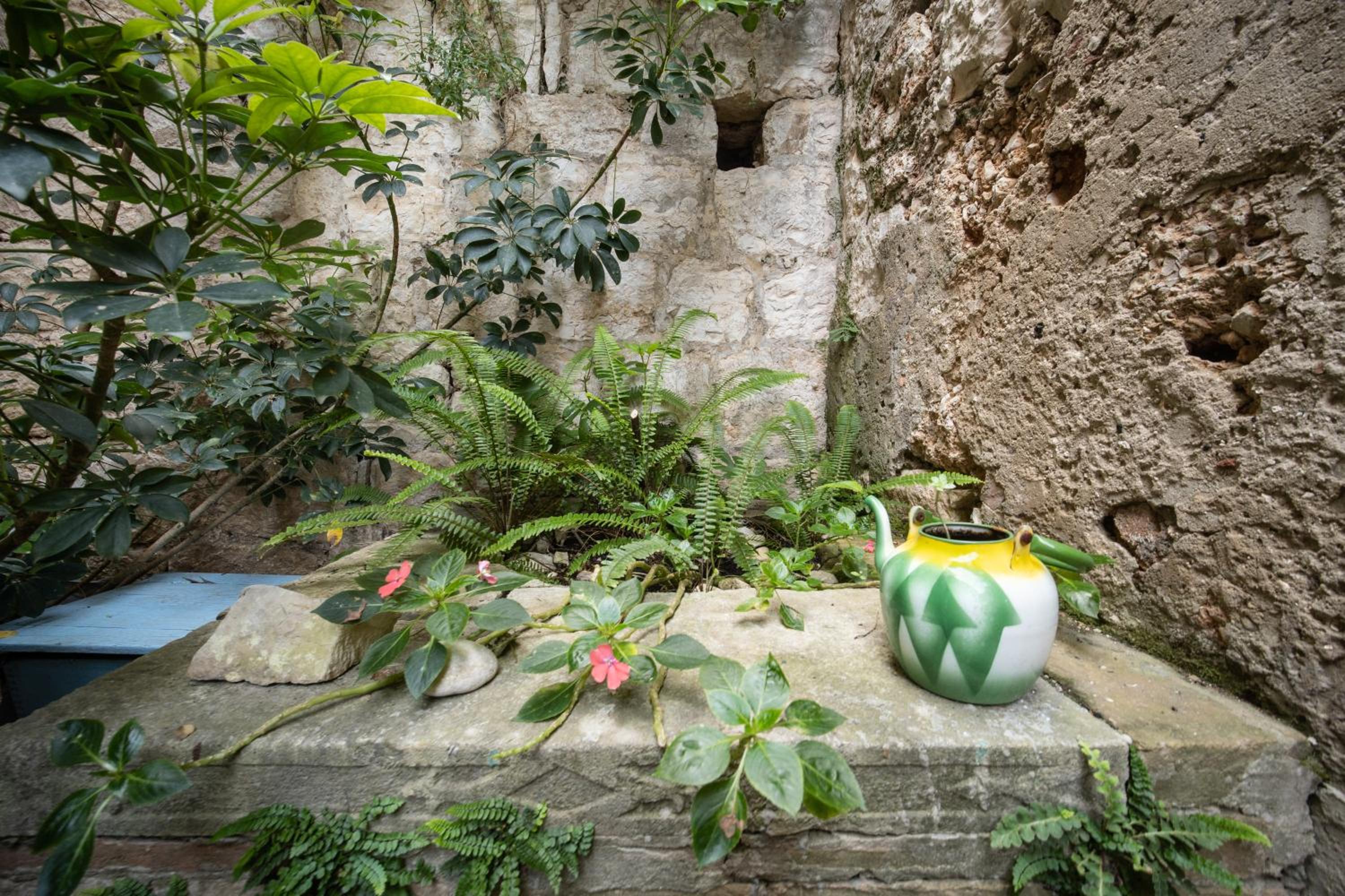 Photo 17