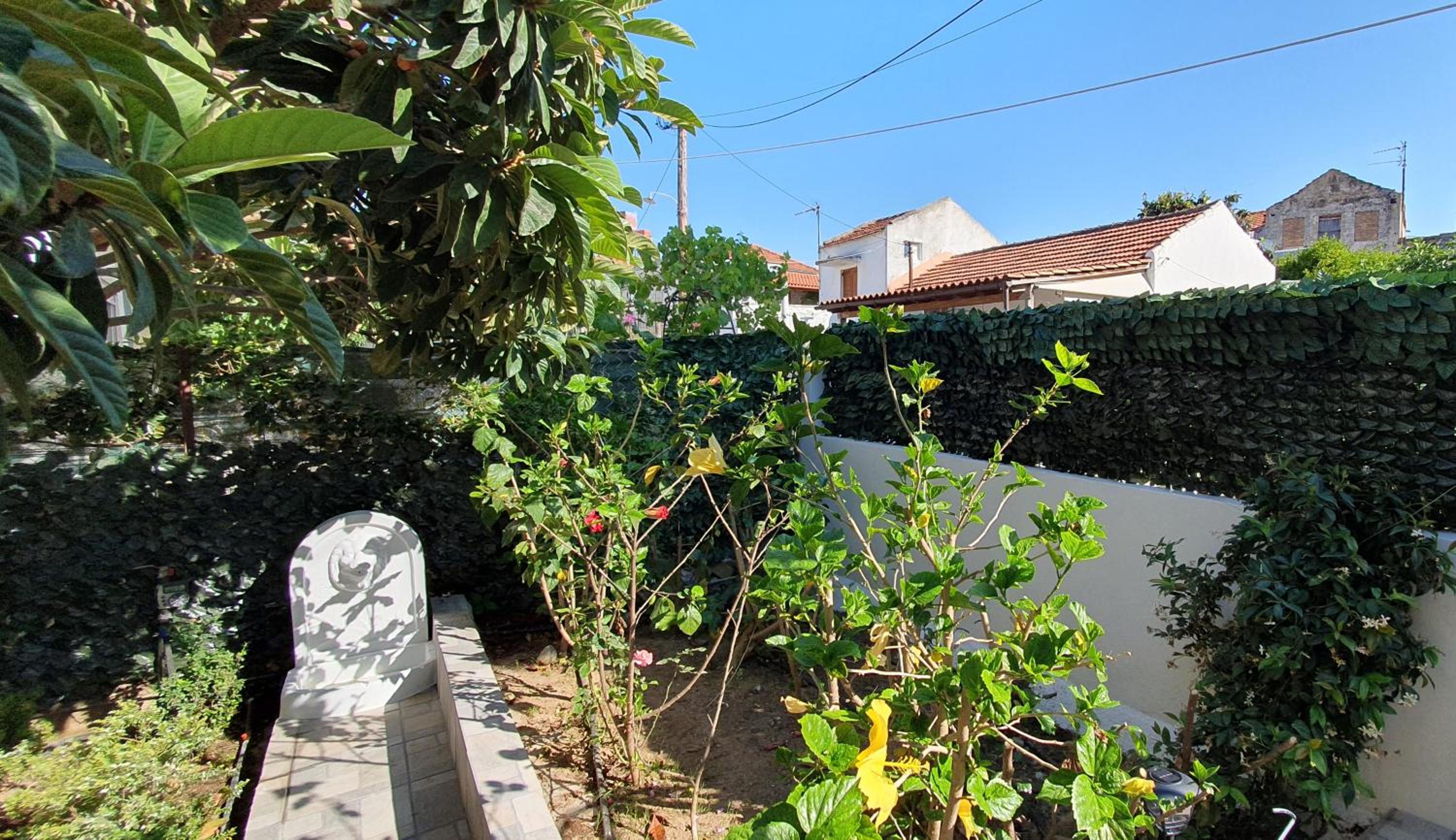 Photo 45