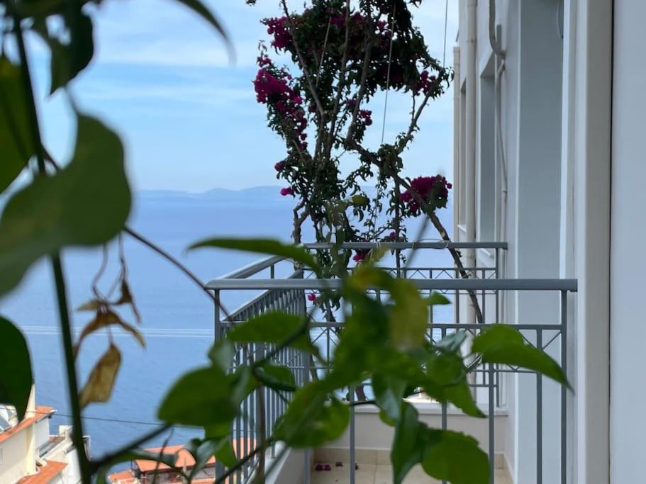Akoumaros Breeze