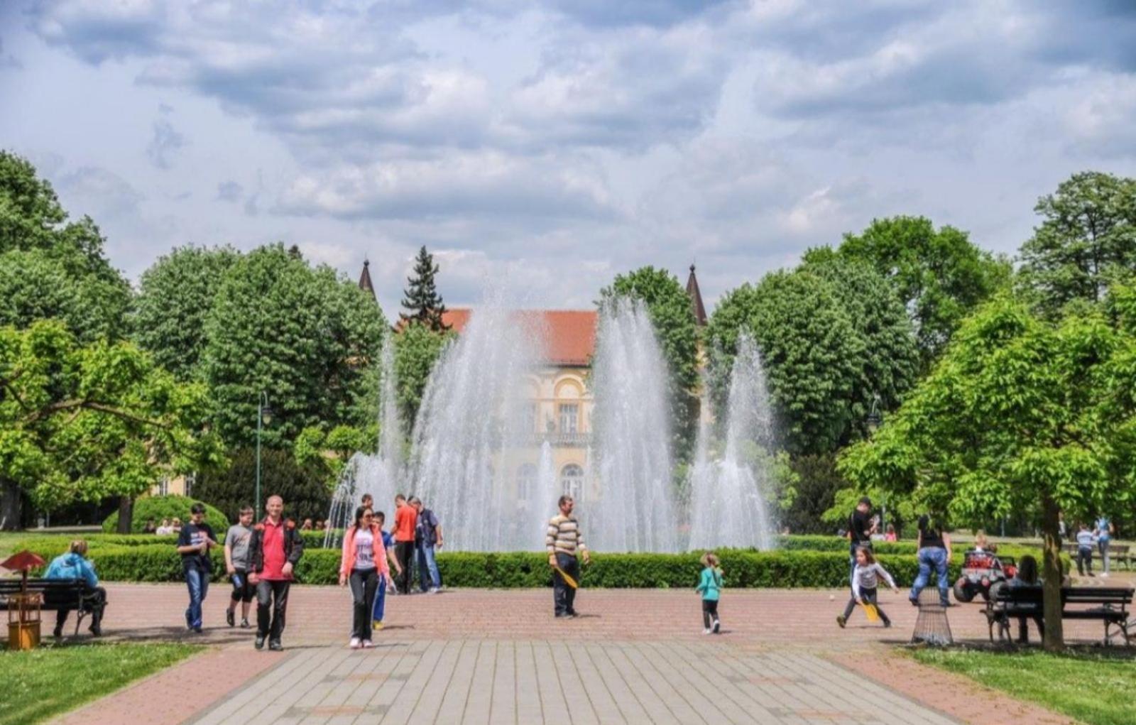 Zvezdica