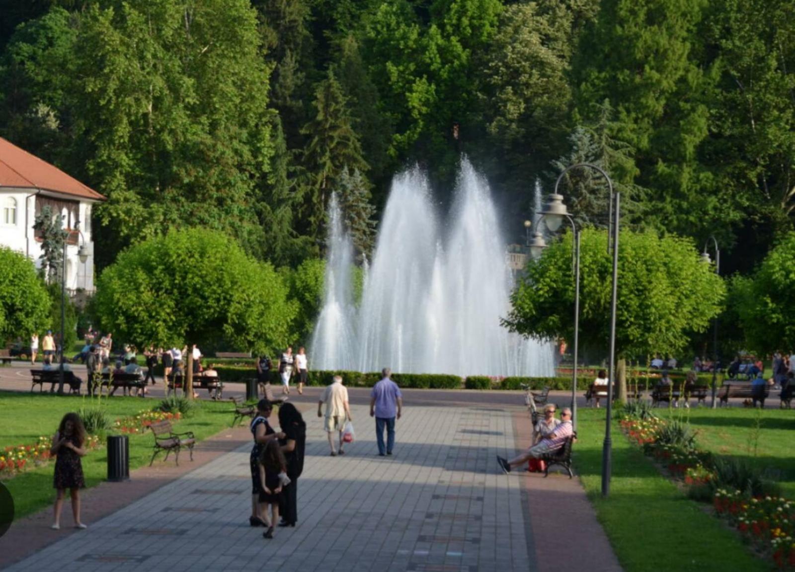 Zvezdica
