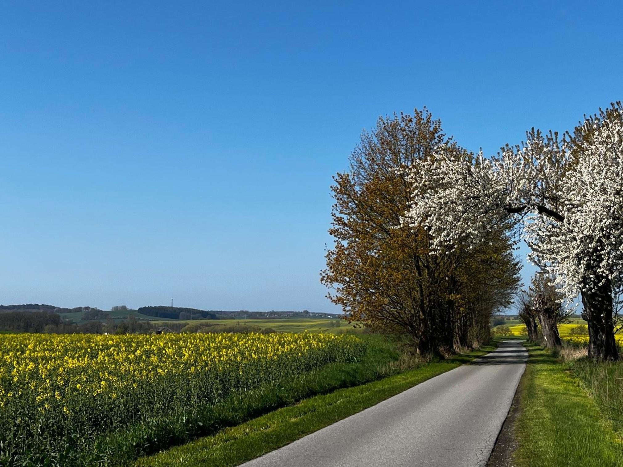 Gut Manderow an der Ostsee