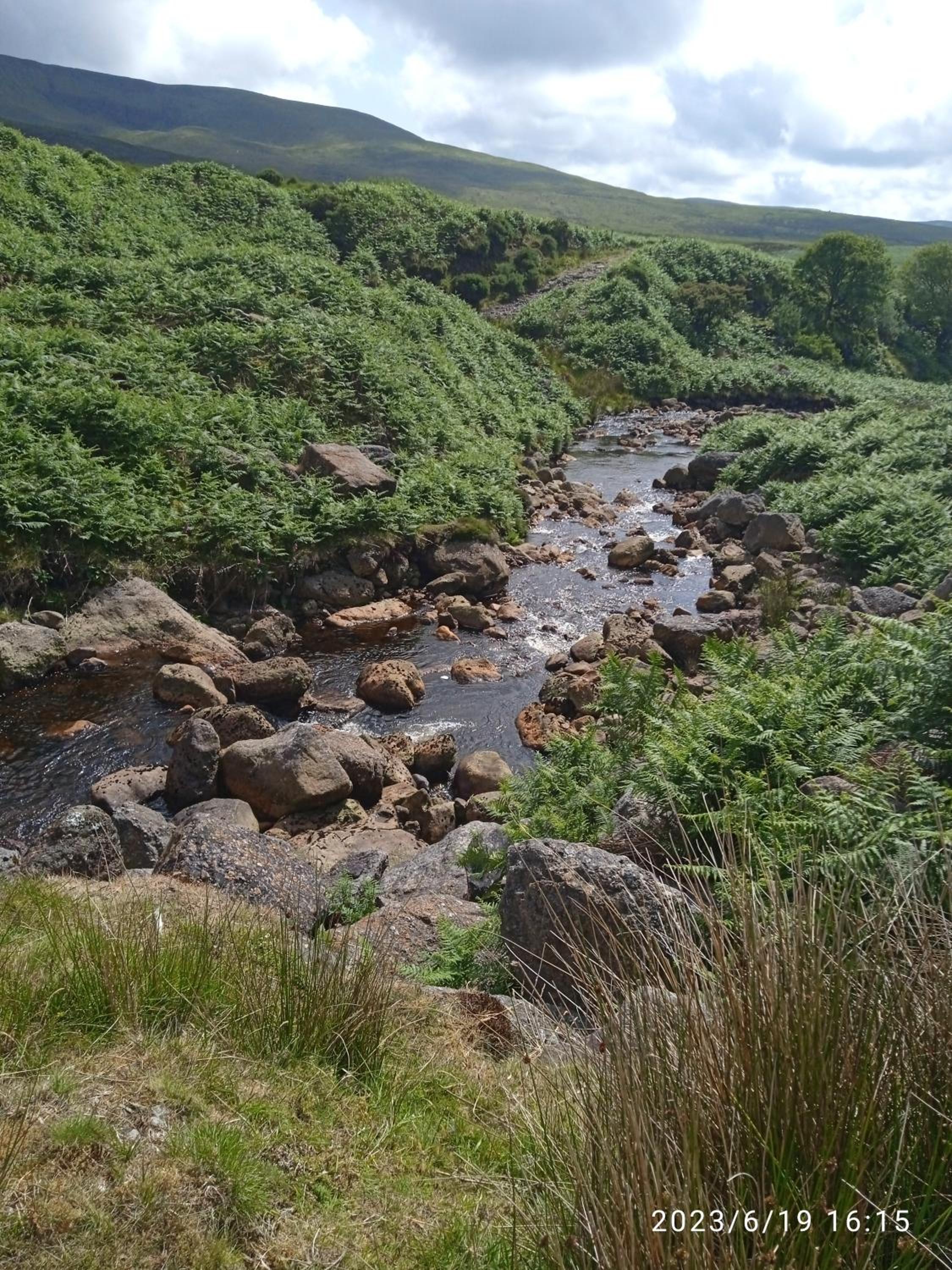 Nire Valley Cottage