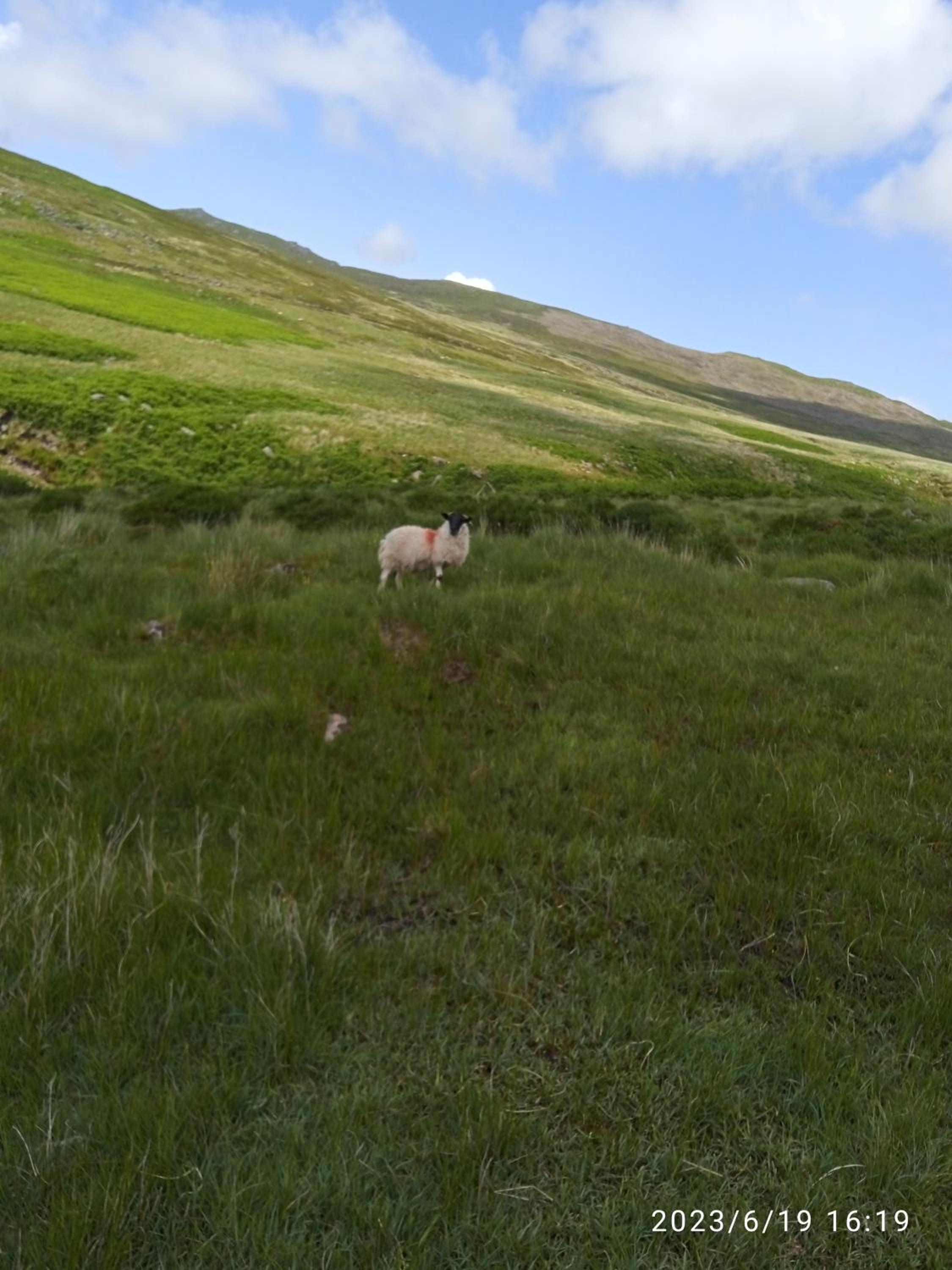 Nire Valley Cottage