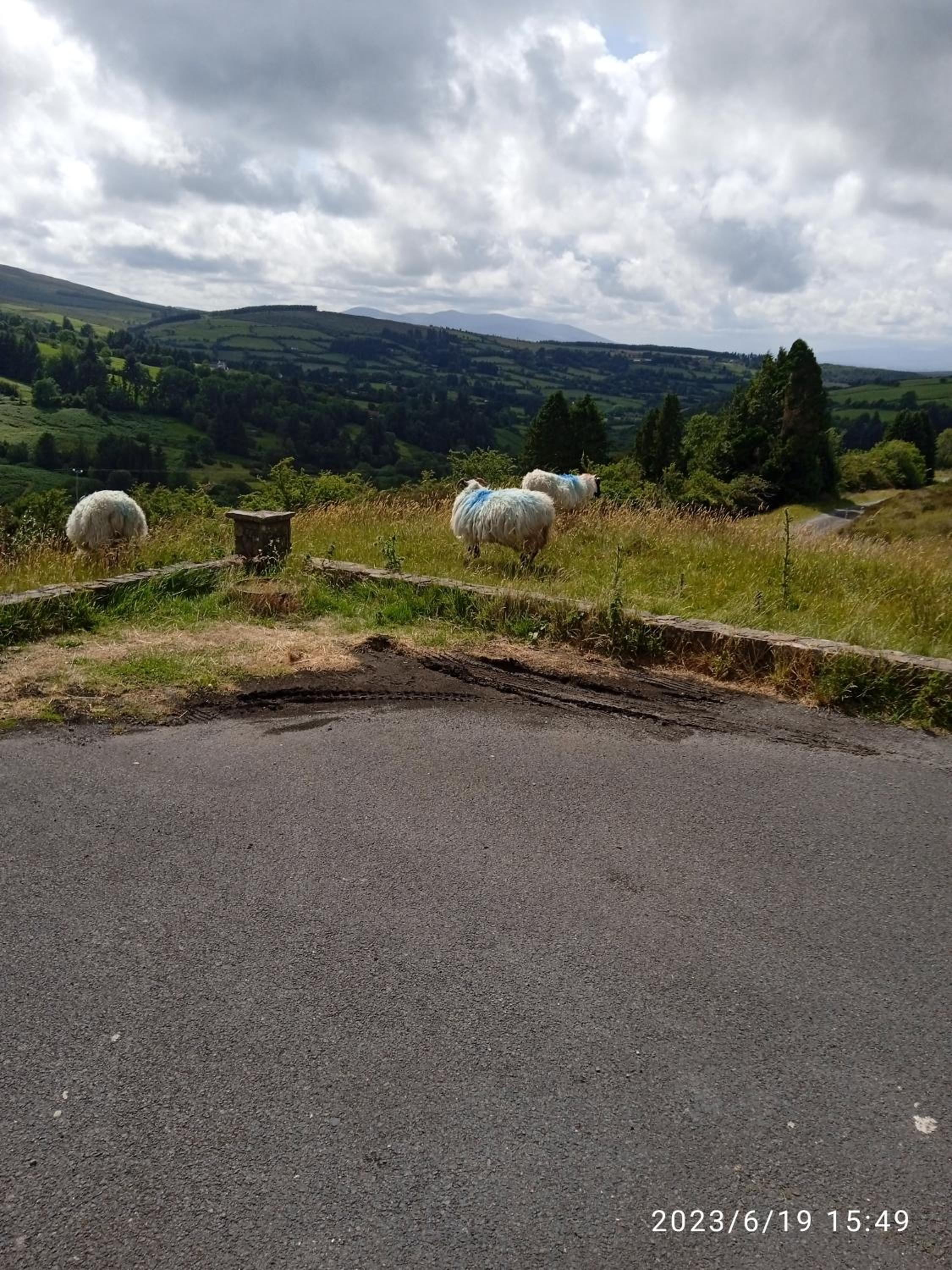 Nire Valley Cottage