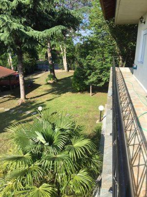 Dimis apartments