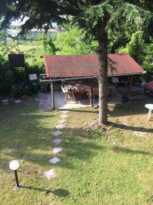 Dimis apartments