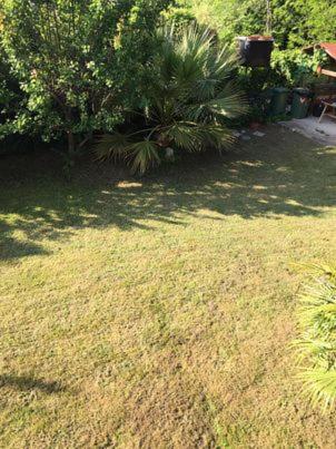 Dimis apartments