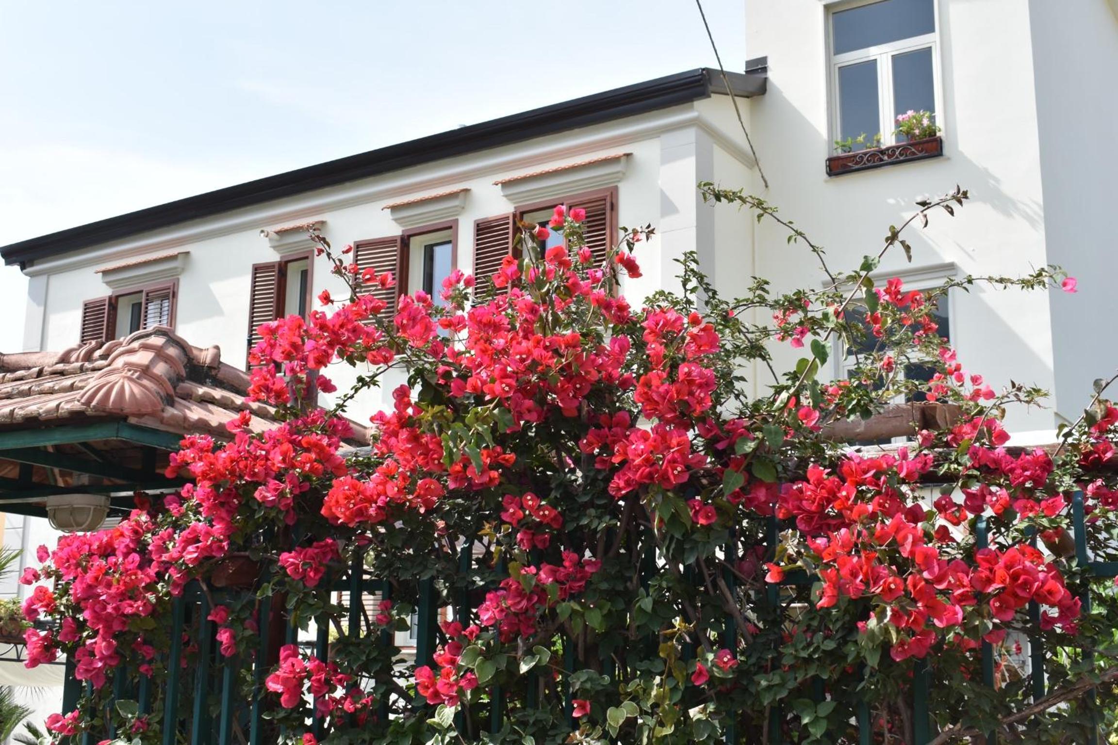 Villa Di Martino