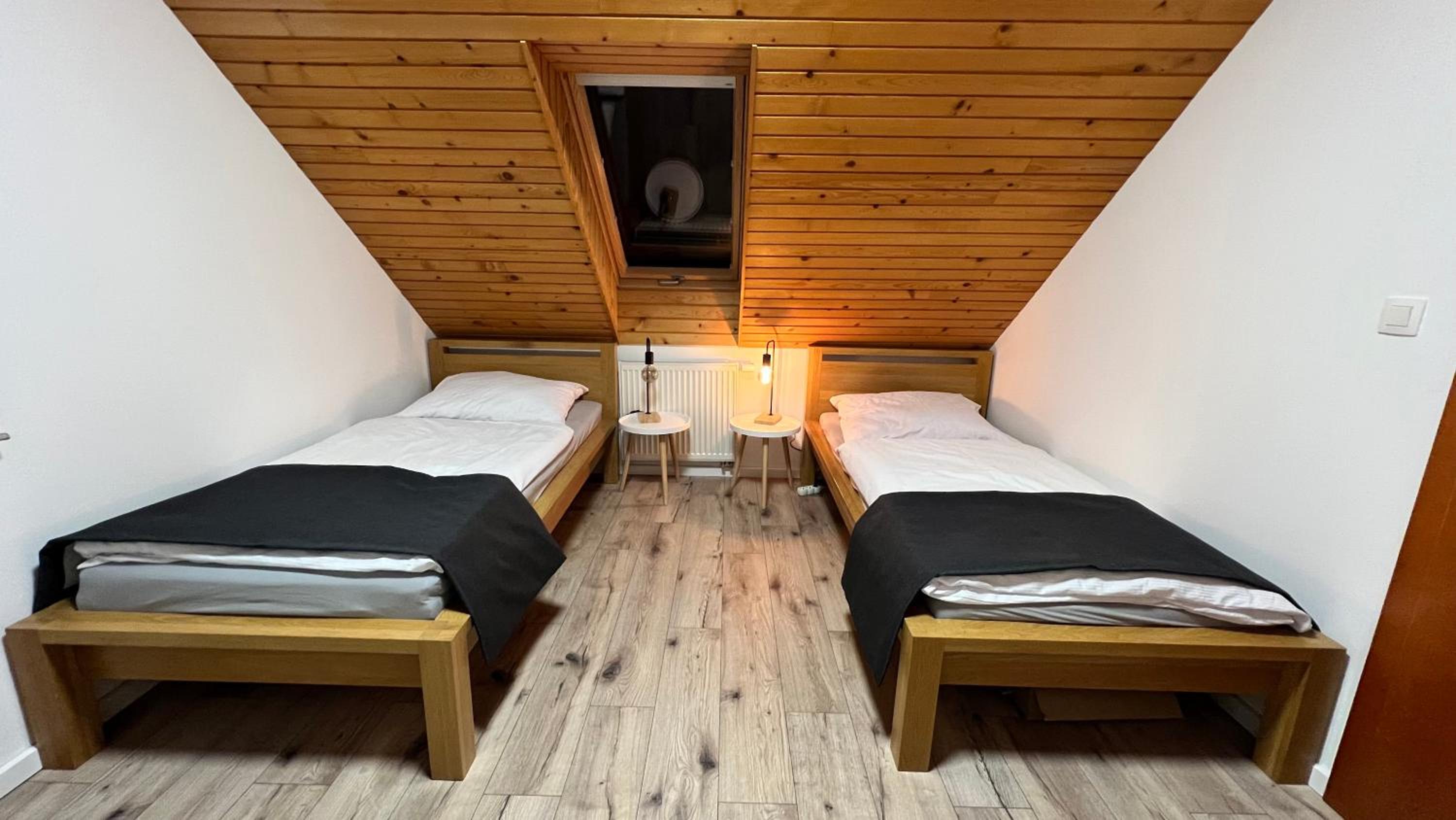 SnežienkaD