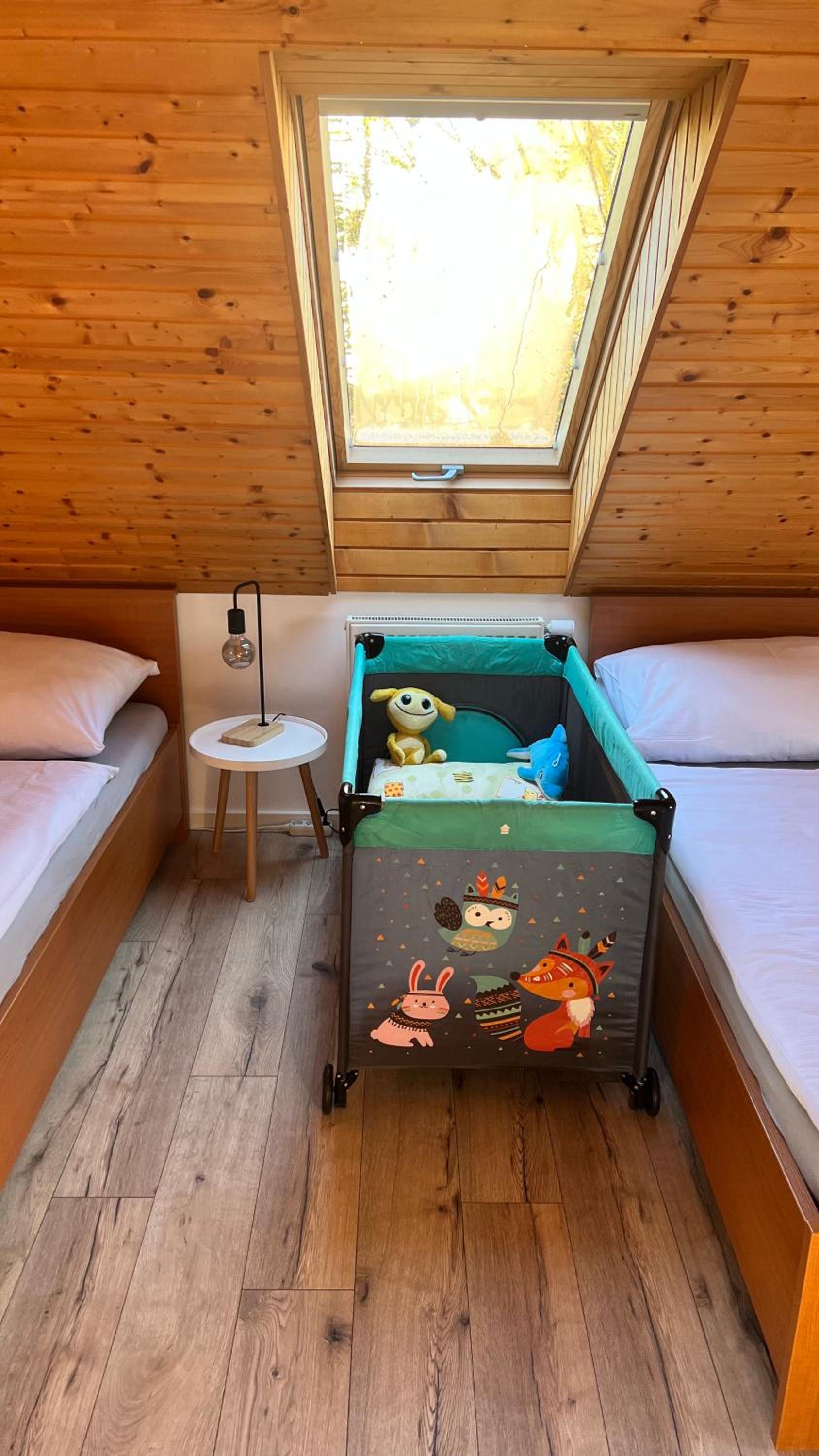 SnežienkaD