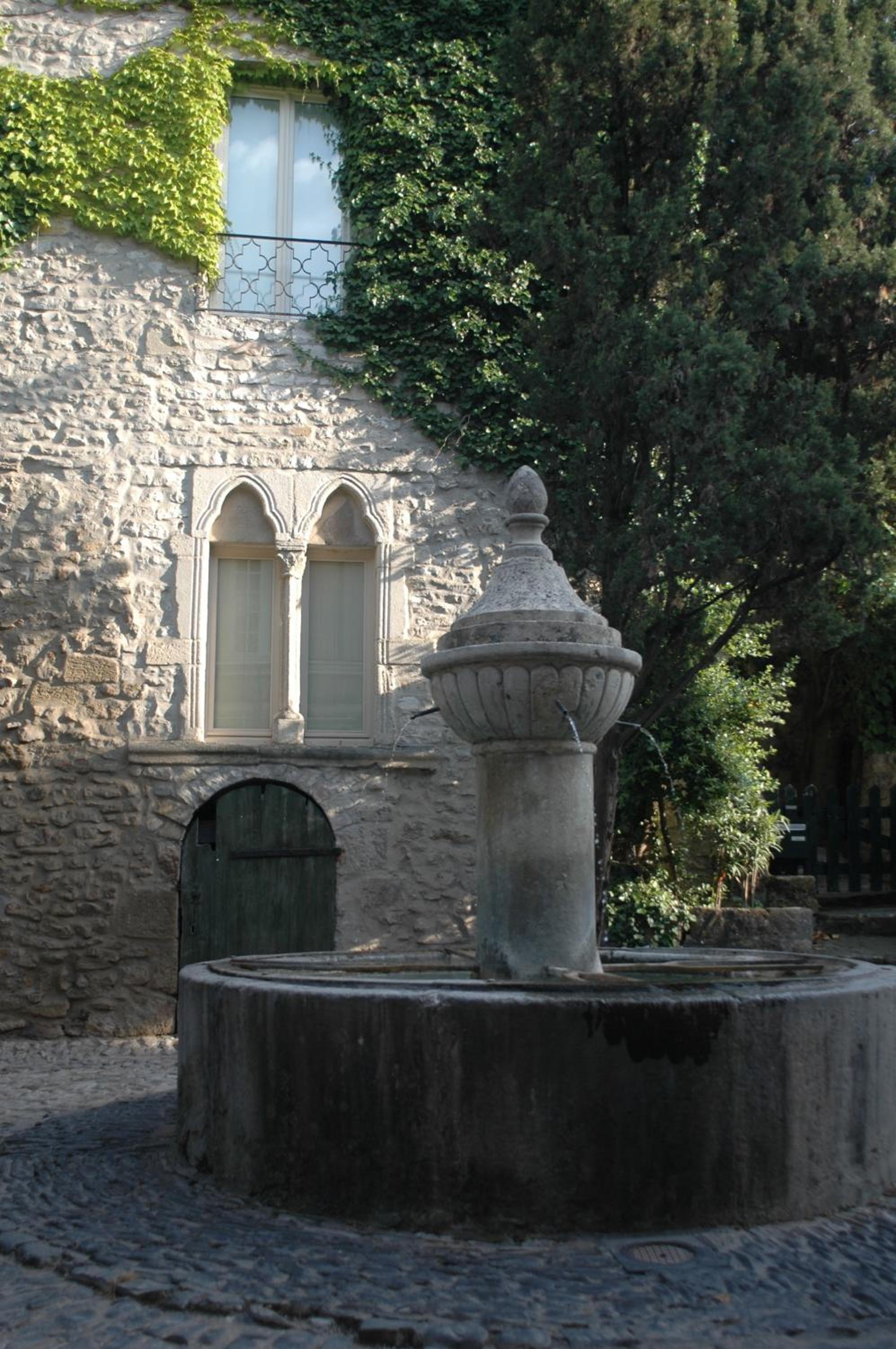 Photo 11