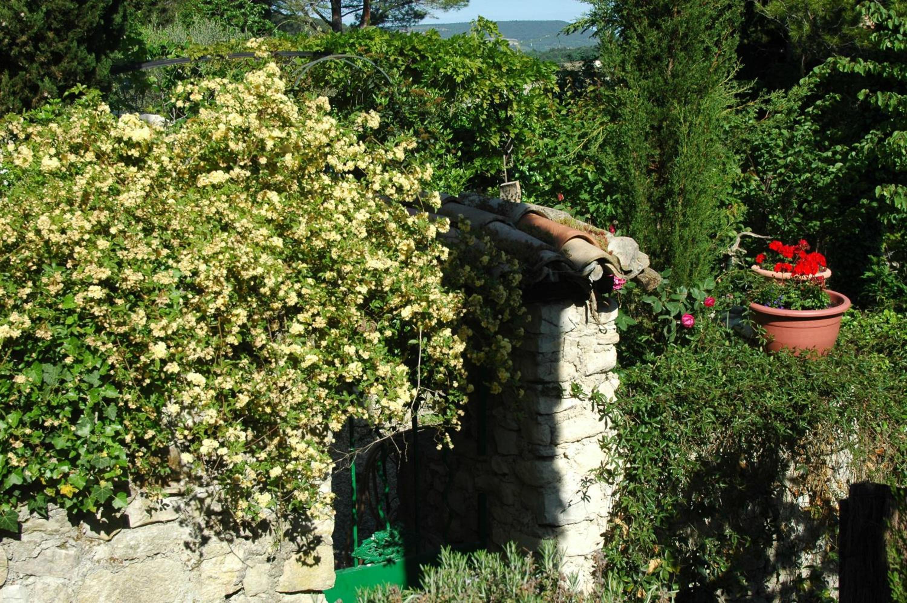 Photo 4
