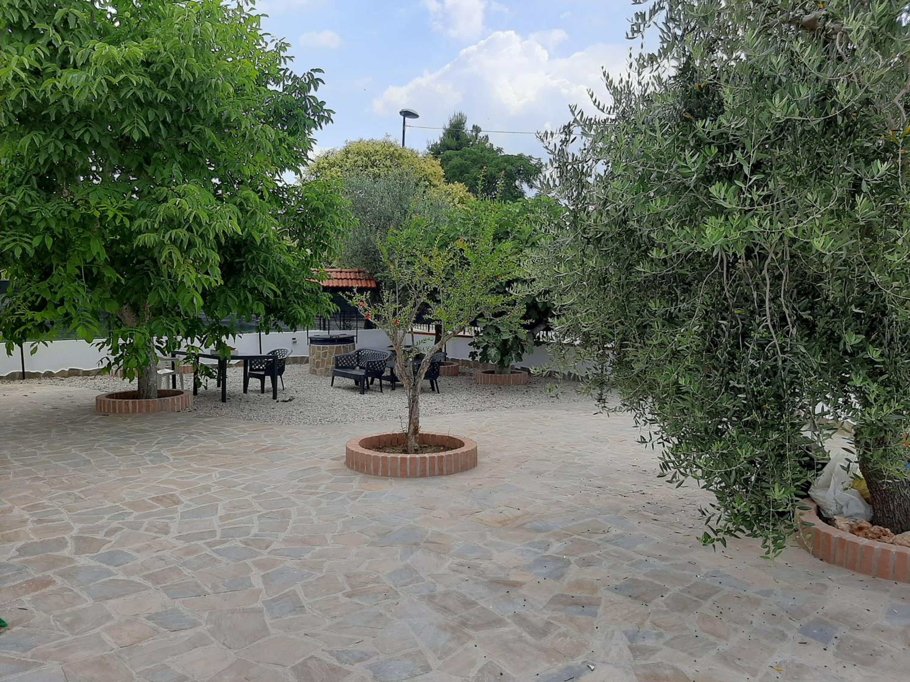 Photo 8