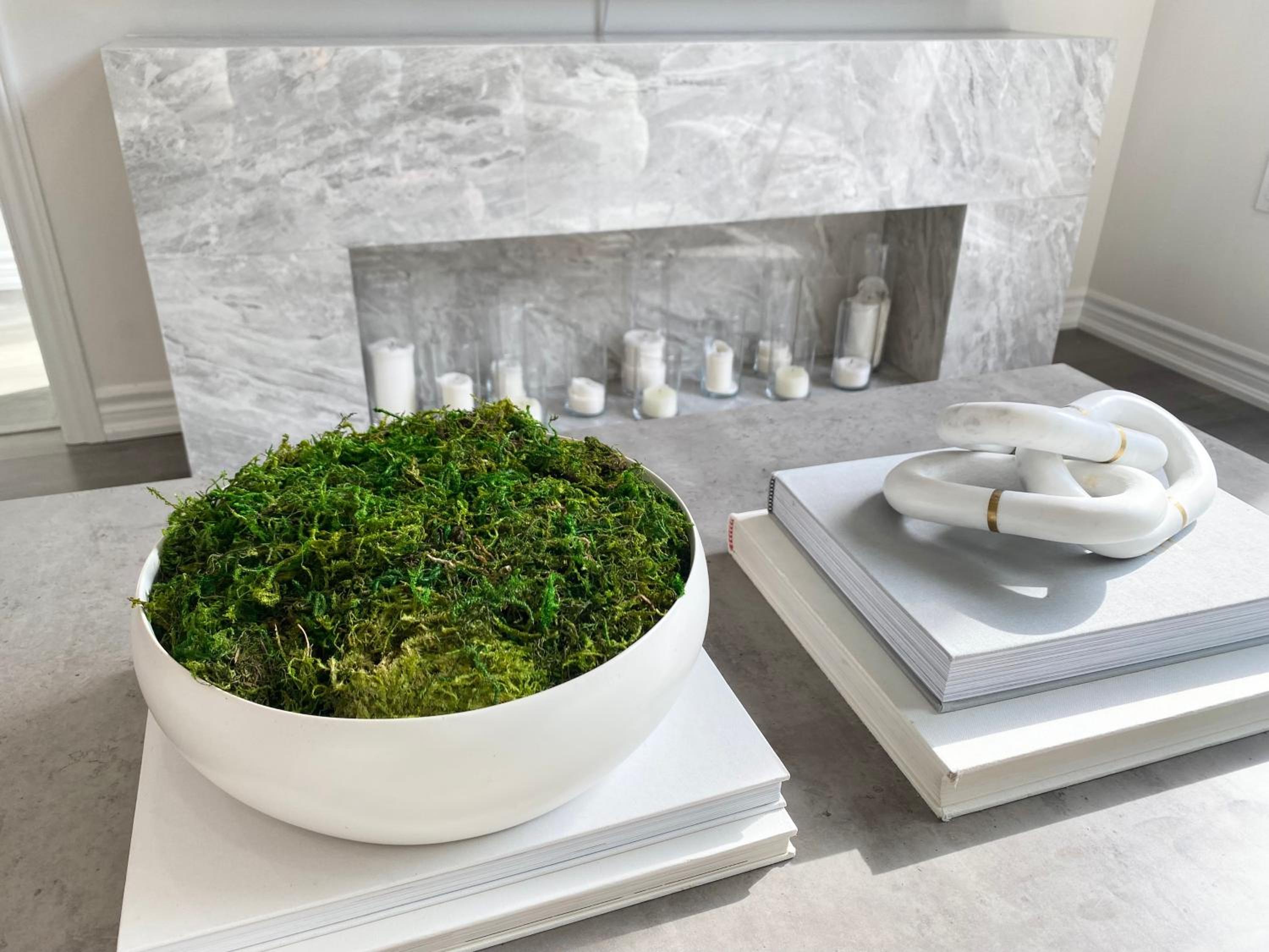 Modern and Bright Luxury Home Centrally Located in Toronto’s GTA