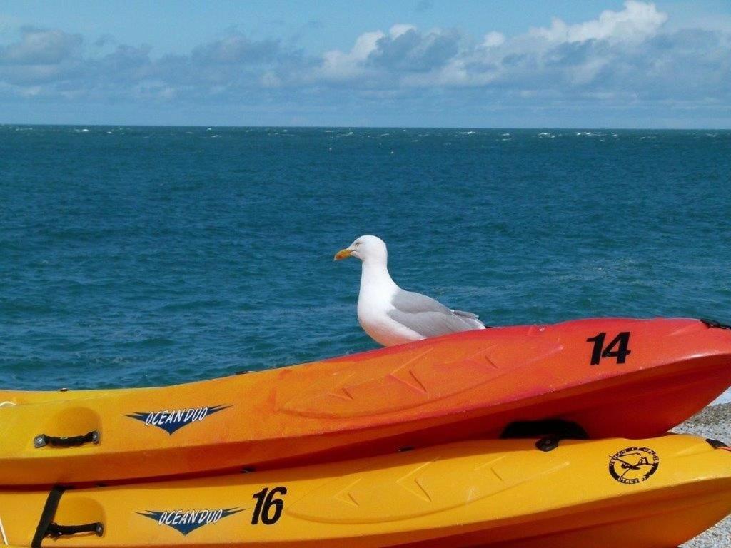 Photo 50