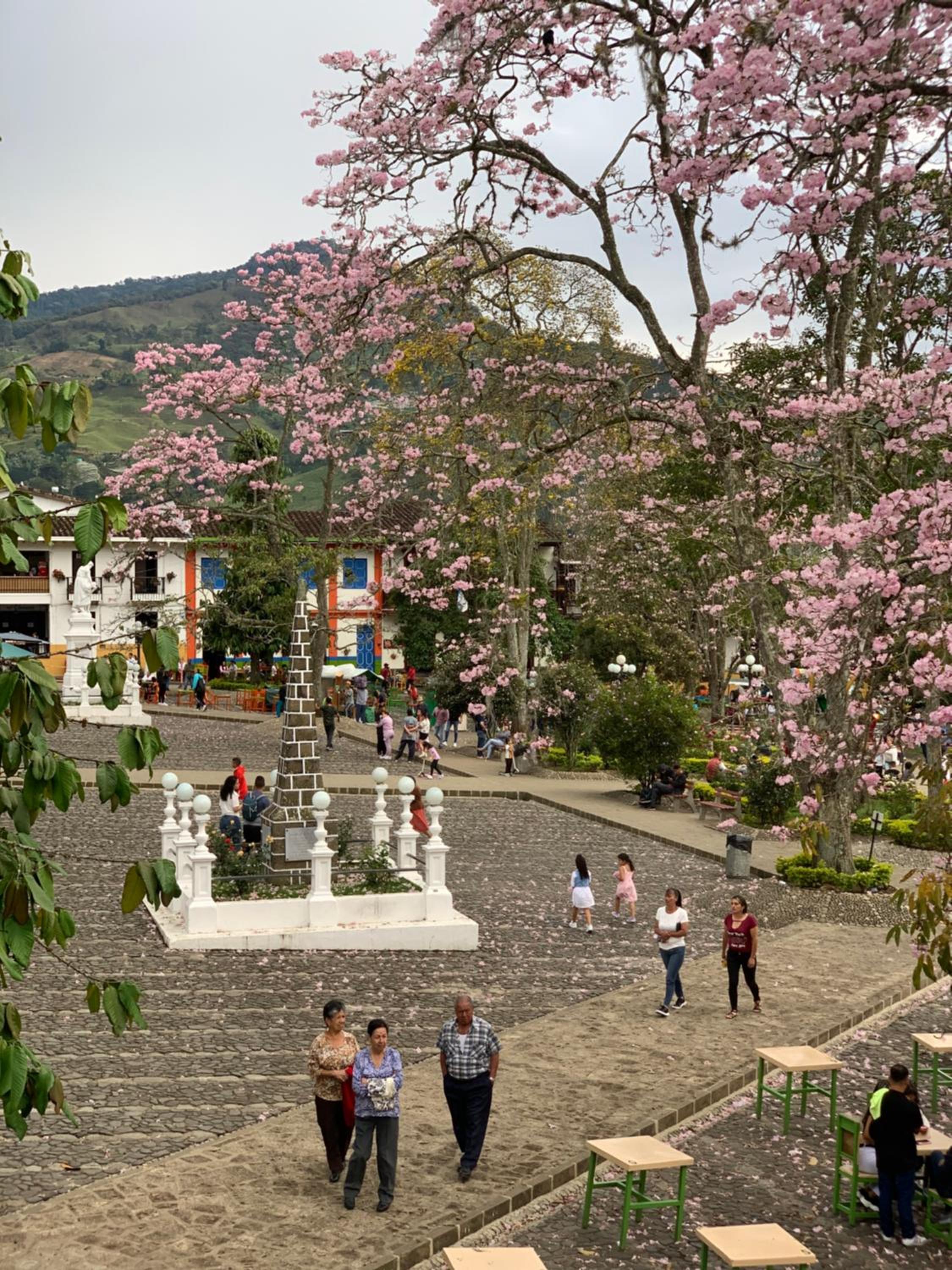 Hospedaje Casa Rosa Jardín