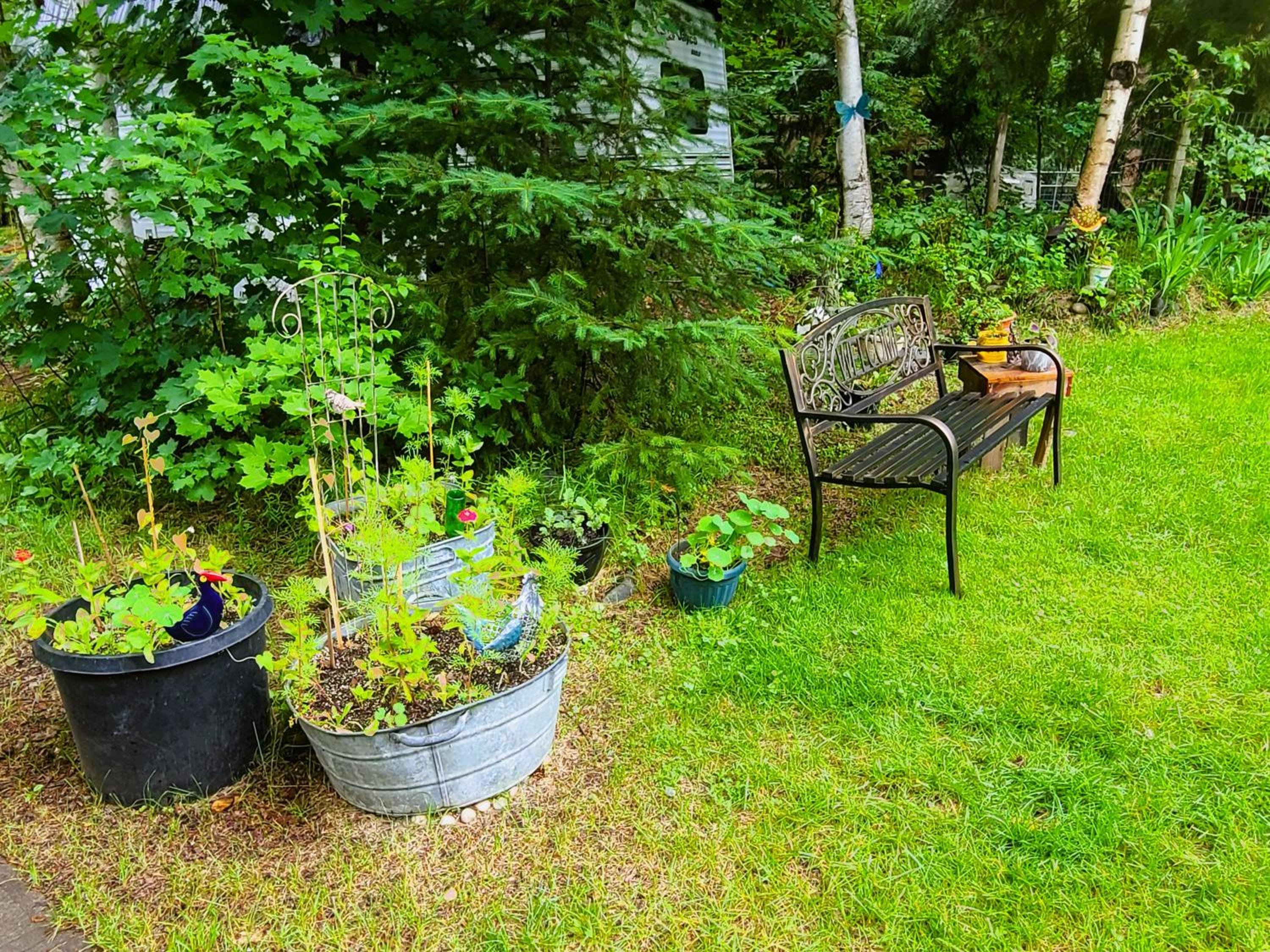 Woodcrest Bed and Breakfast