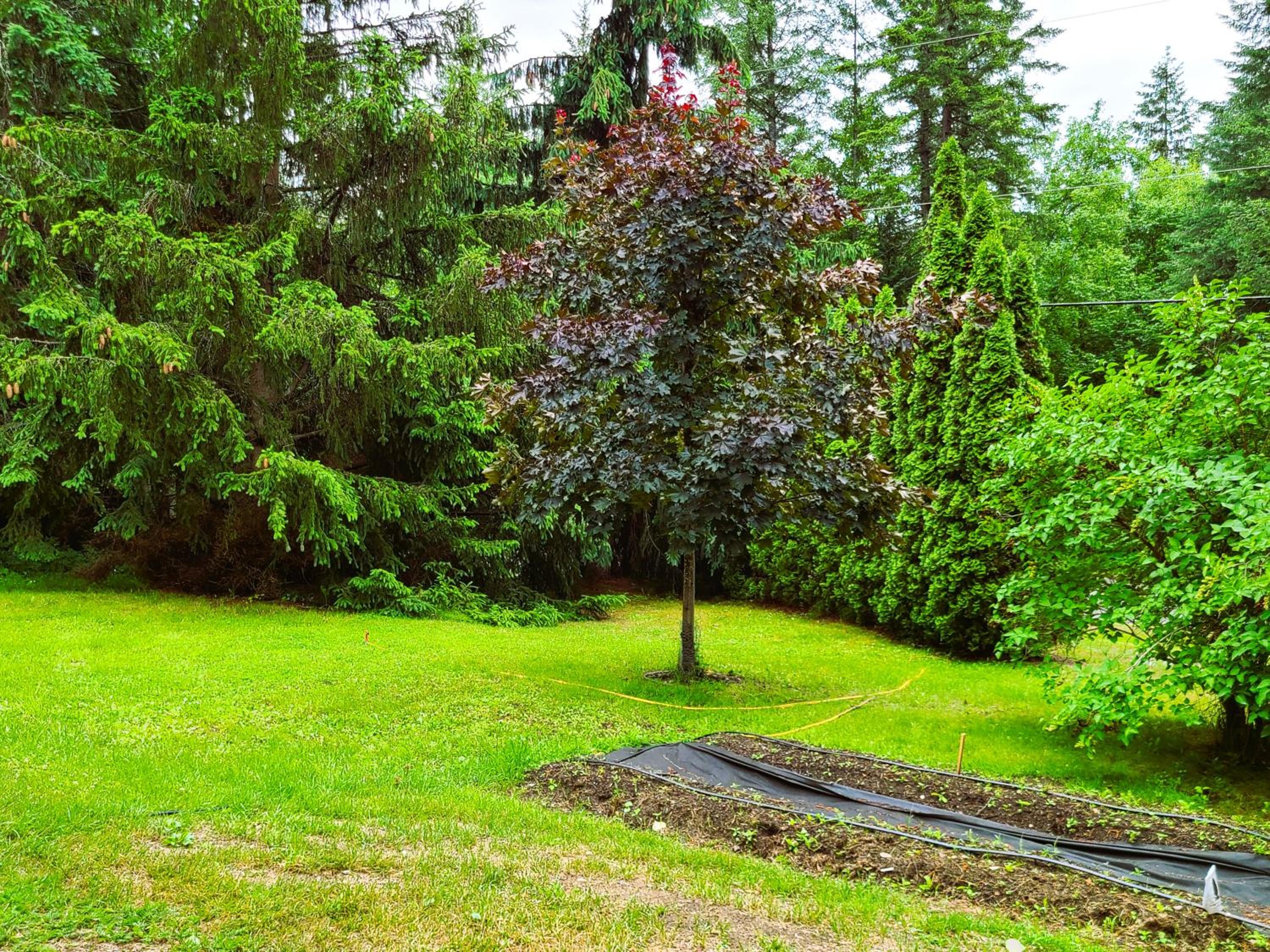 Woodcrest Bed and Breakfast