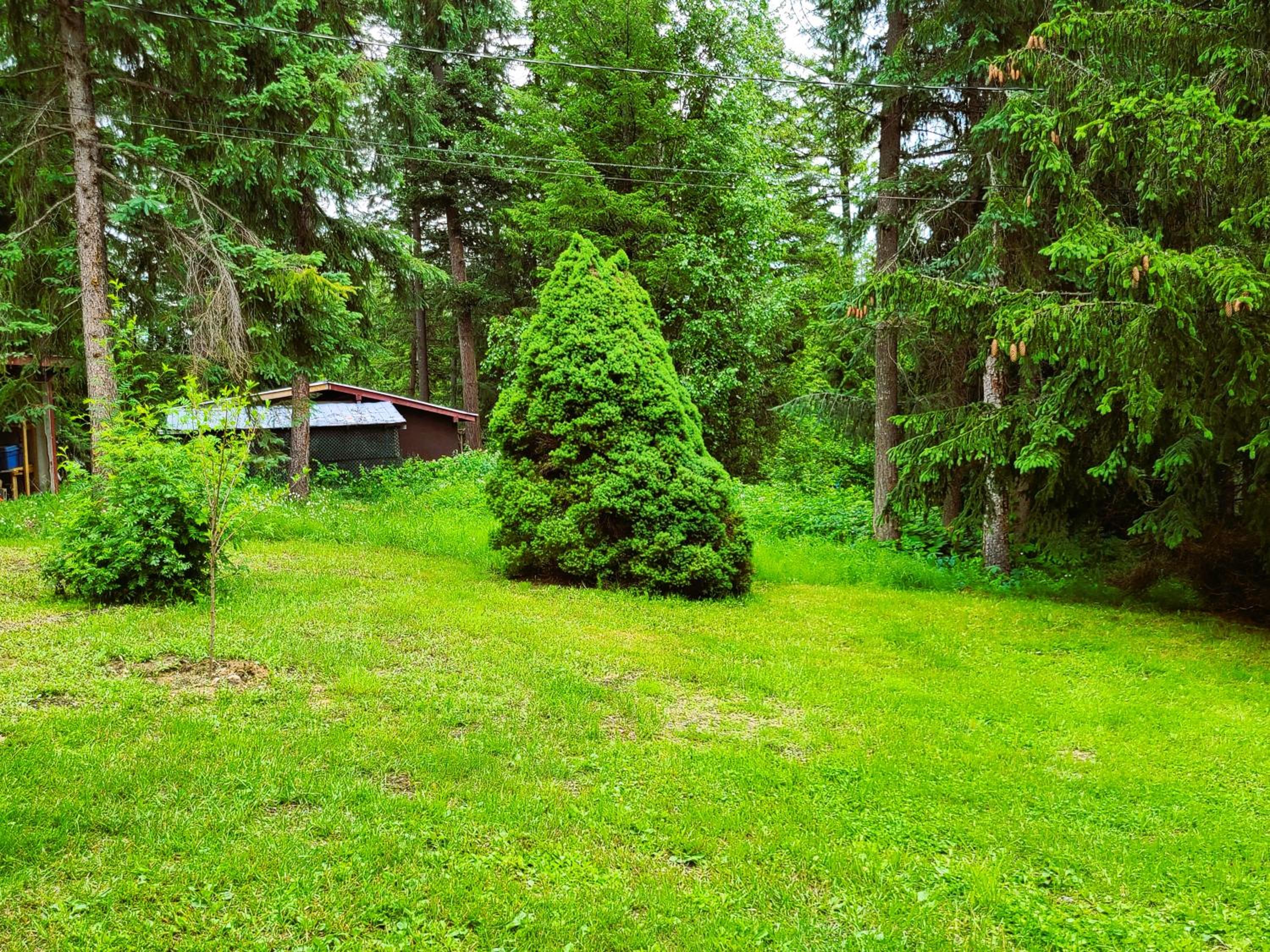Woodcrest Bed and Breakfast