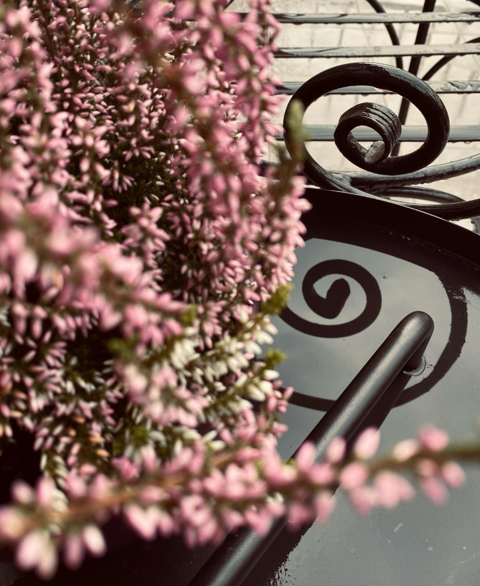 Eger Castle Hill Premium Apartments - Image 2