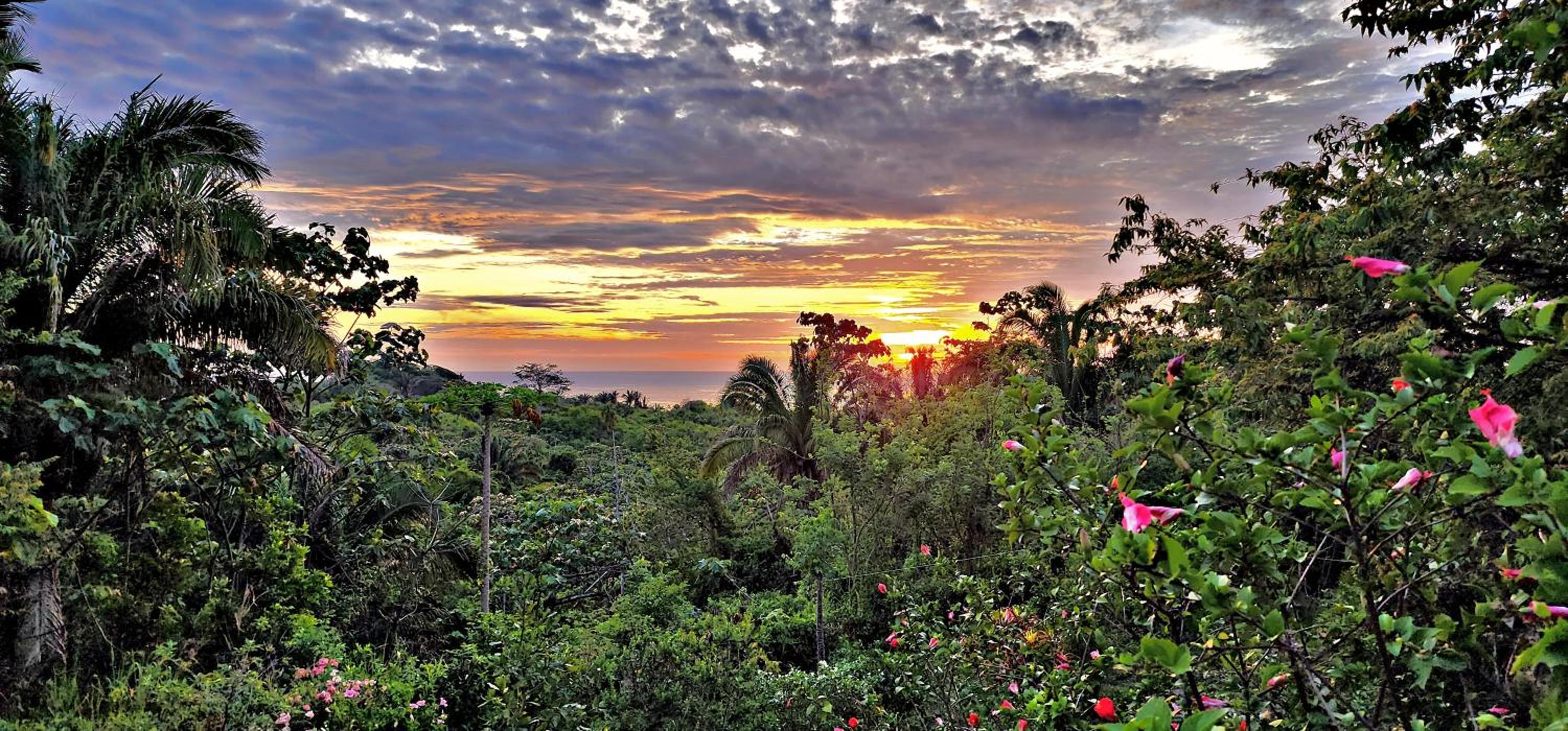 La Casita del Bosque
