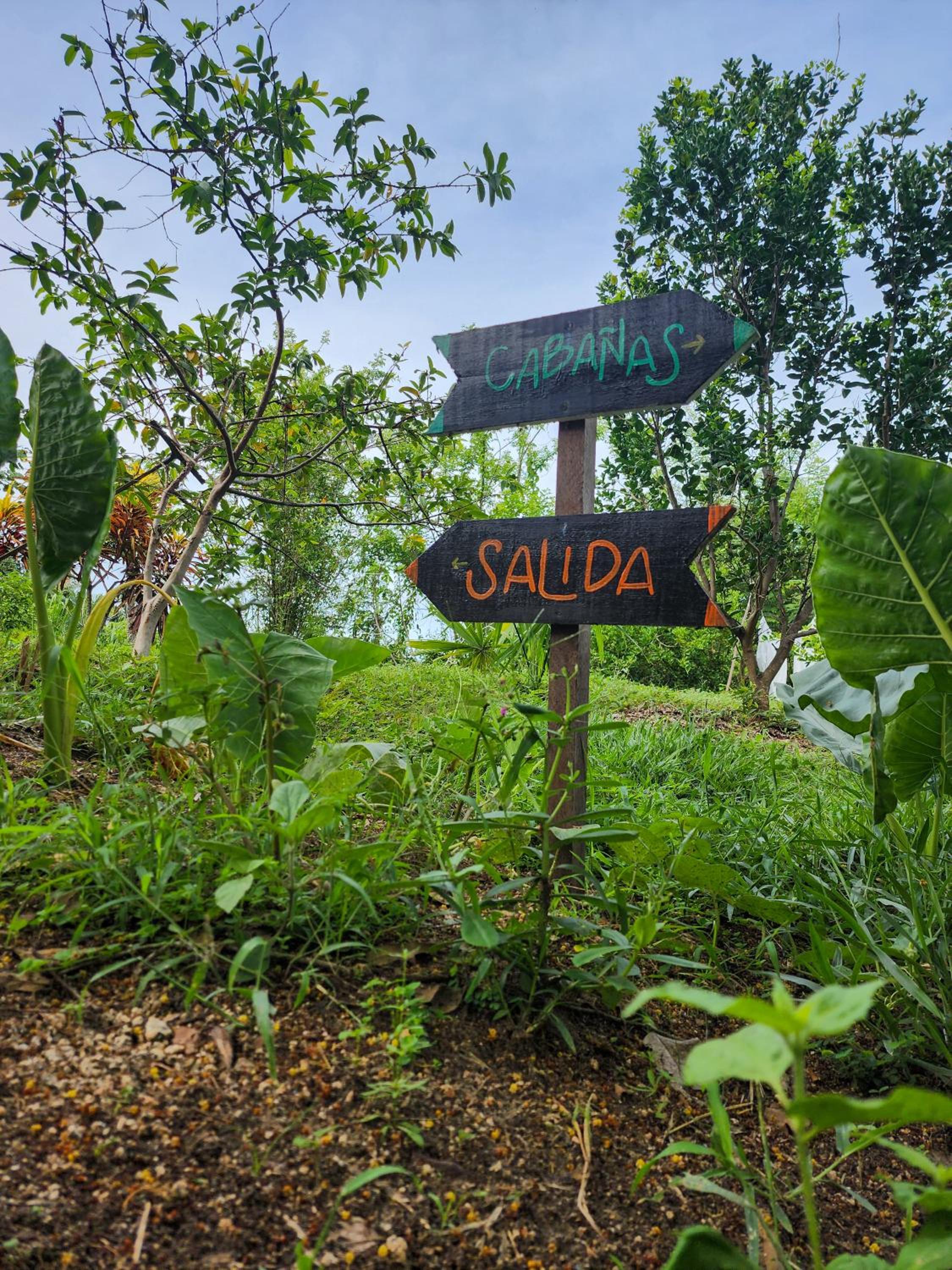 La Casita del Bosque