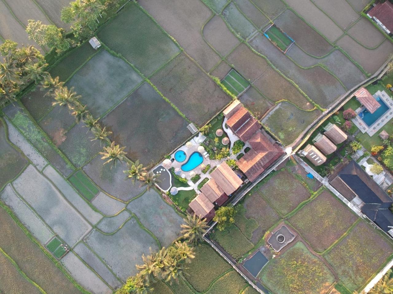 Tetebatu Flush Harmony