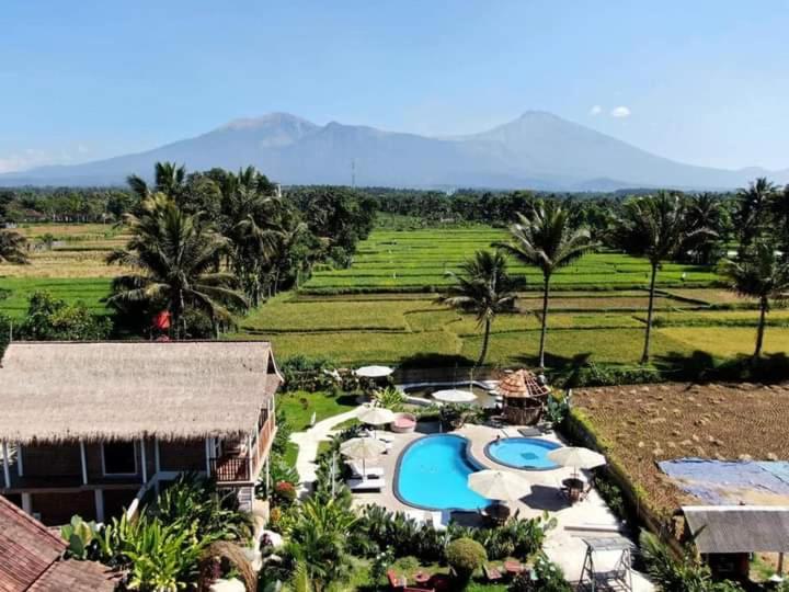 Tetebatu Flush Harmony view 3