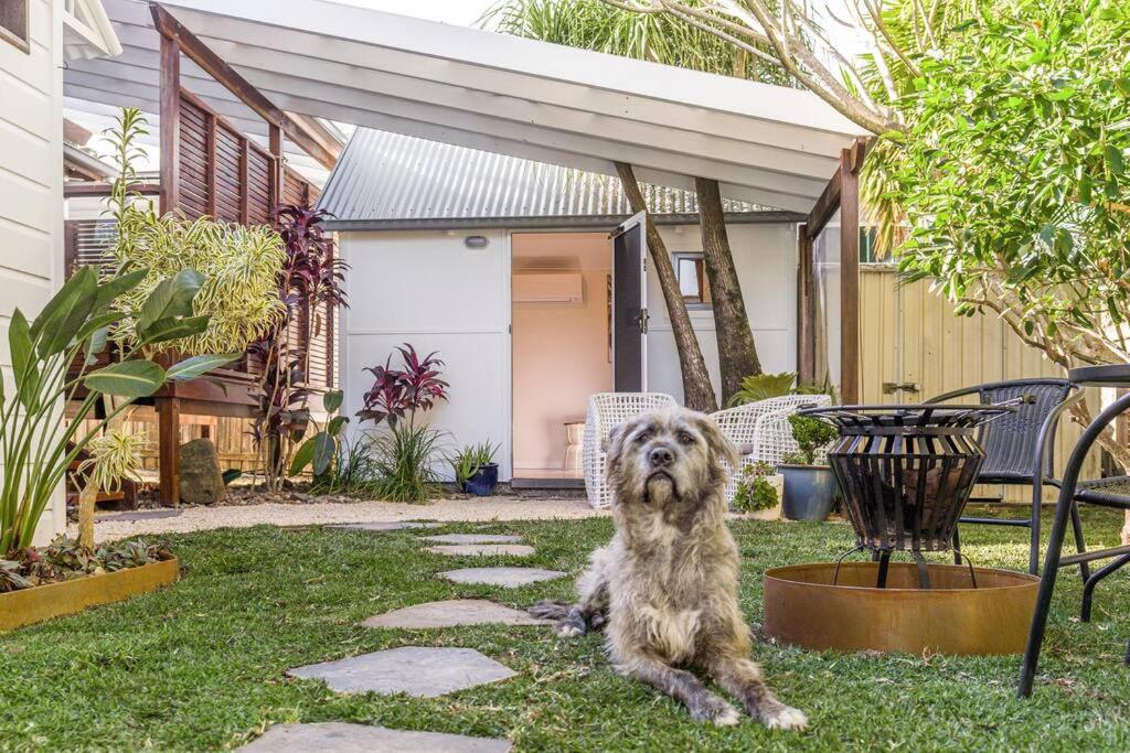 Shirley Beach House, right in heart of Byron Bay, walking distance to town and most famous beaches
