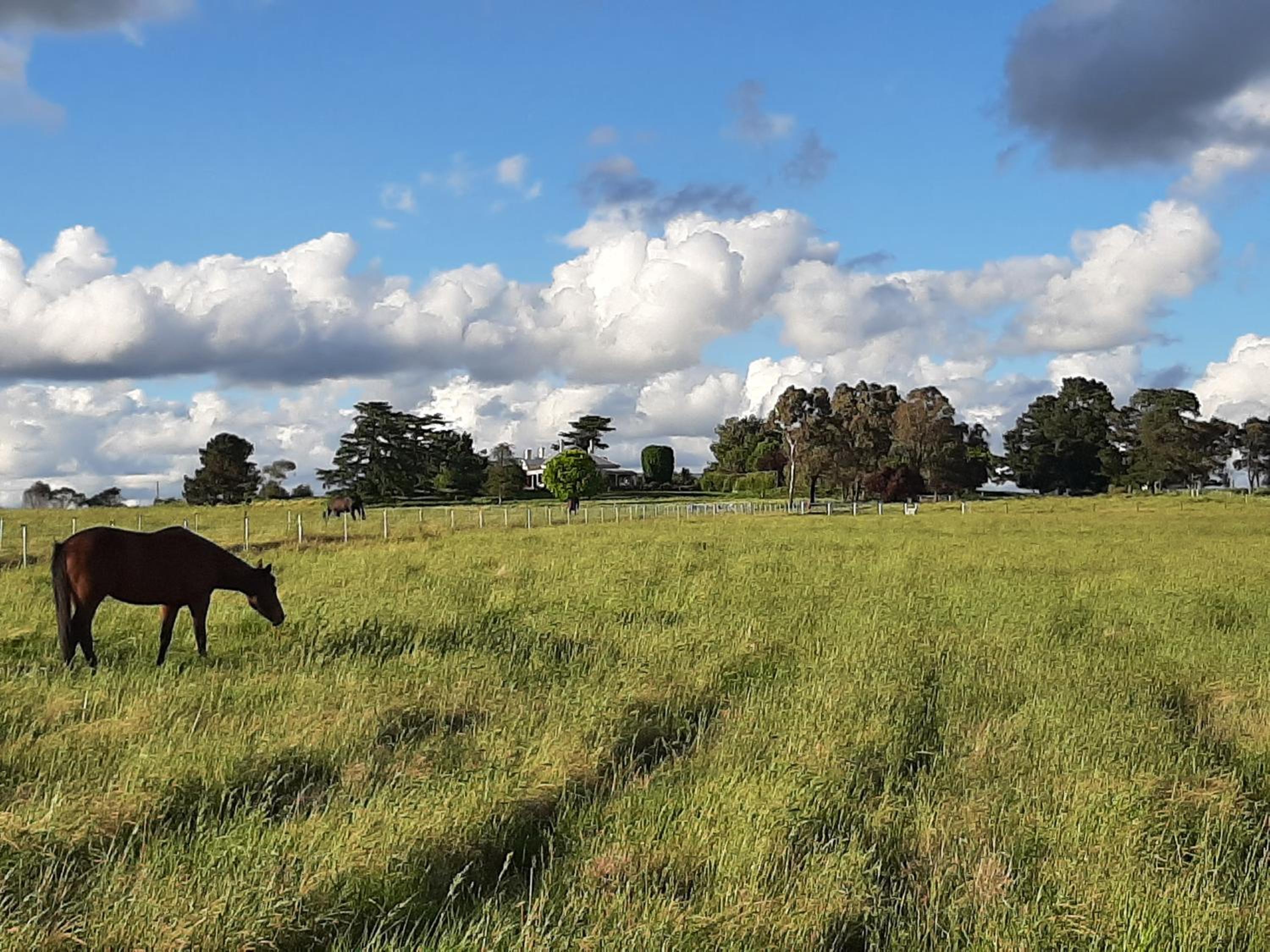 Alloway Bank