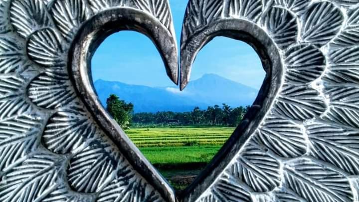 Tetebatu Flush Harmony view 5