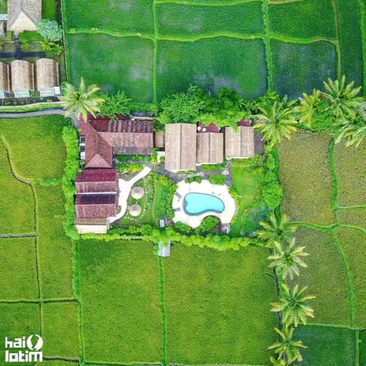 Tetebatu Flush Harmony view 4