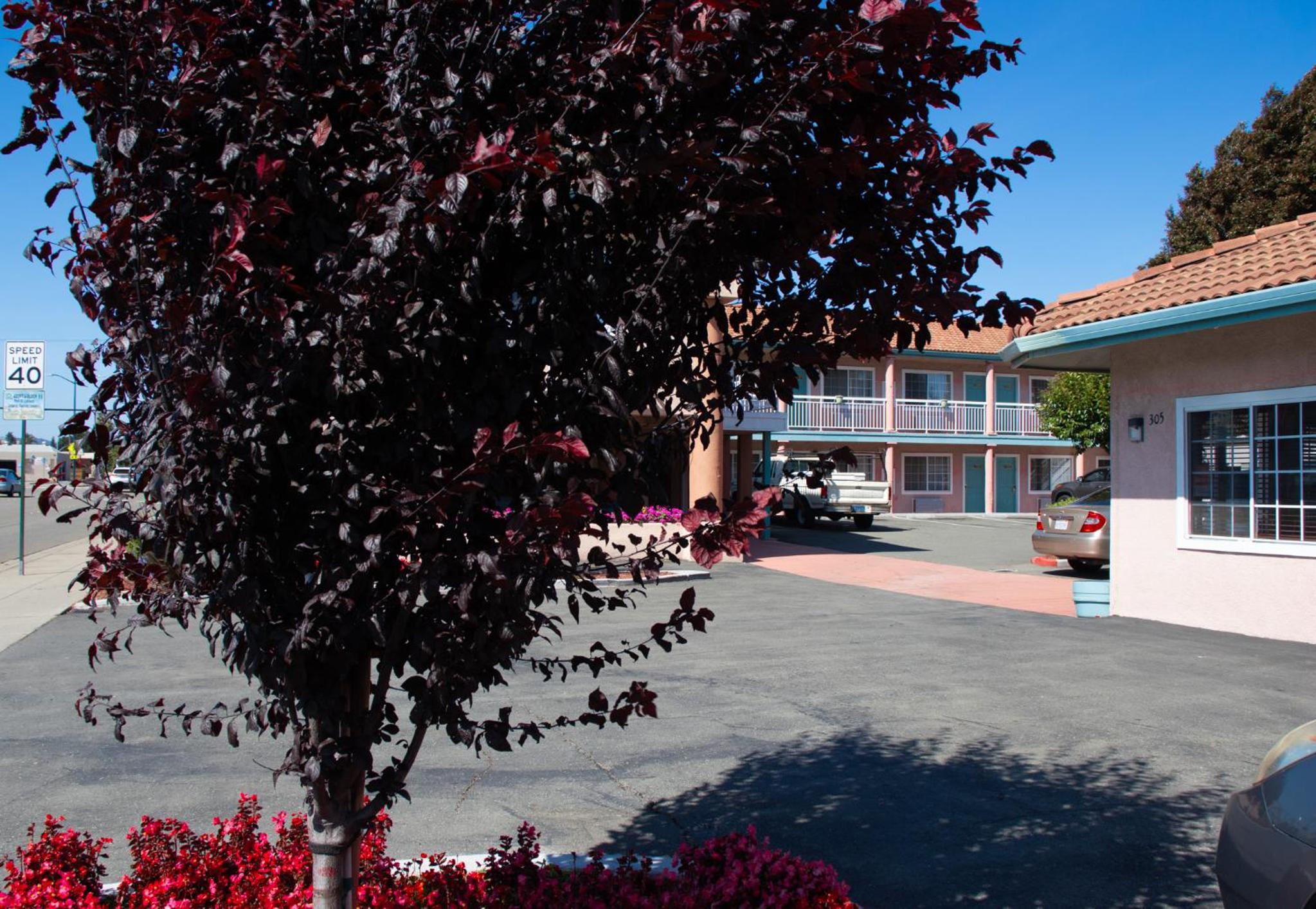 Hayward Vacations - Discovery Inn - Property Image 50