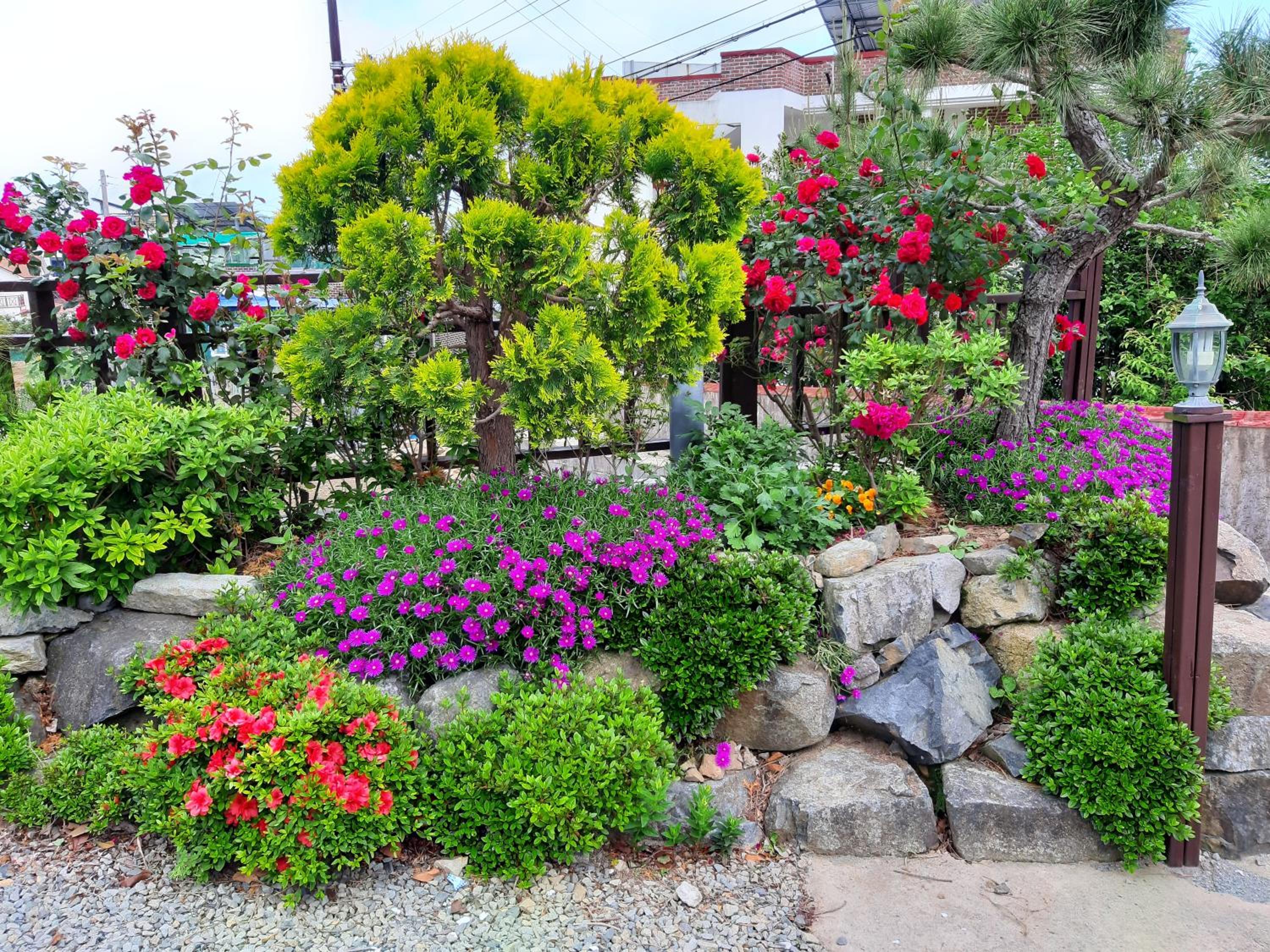 Photo 44