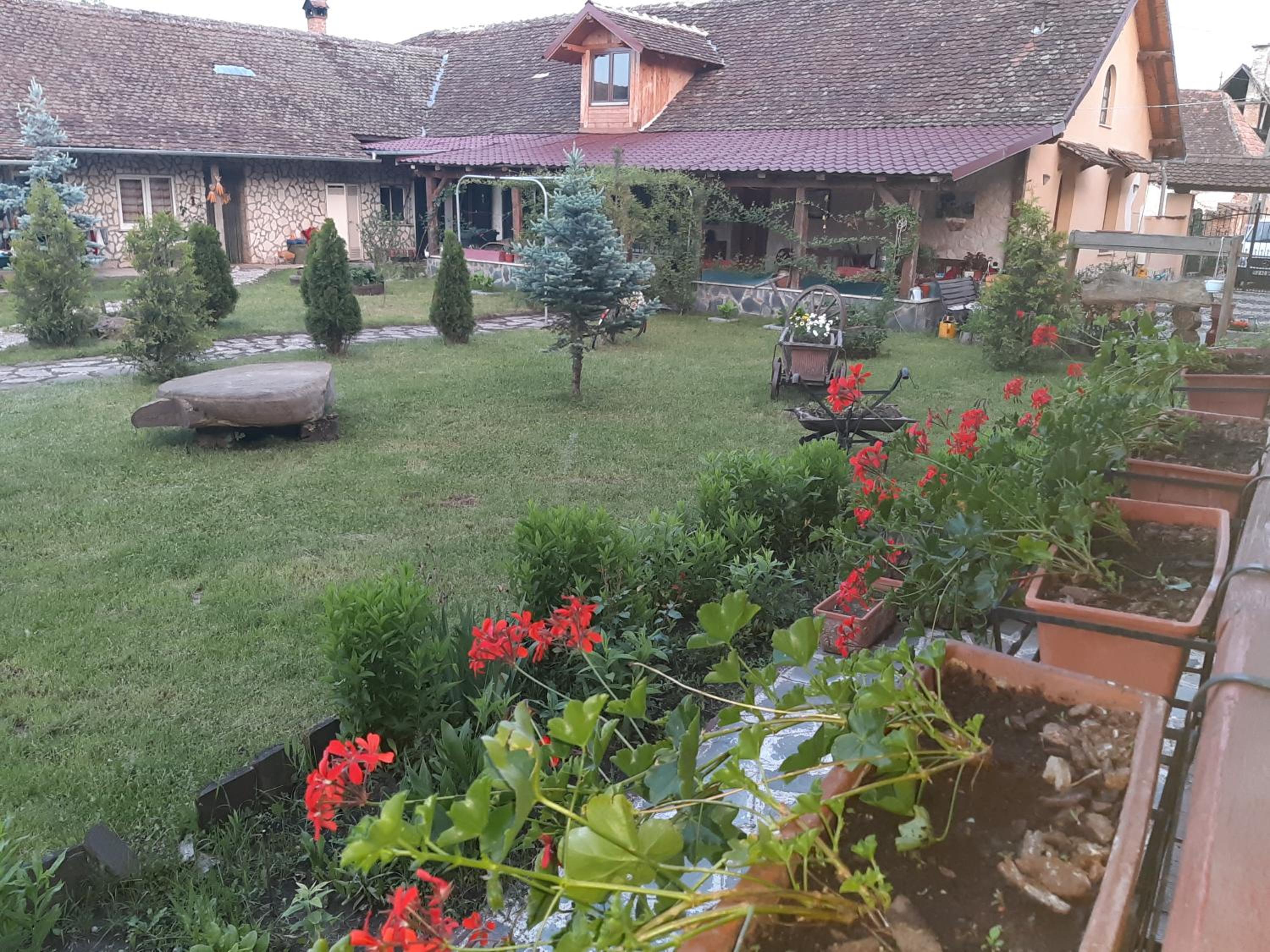 Photo 17