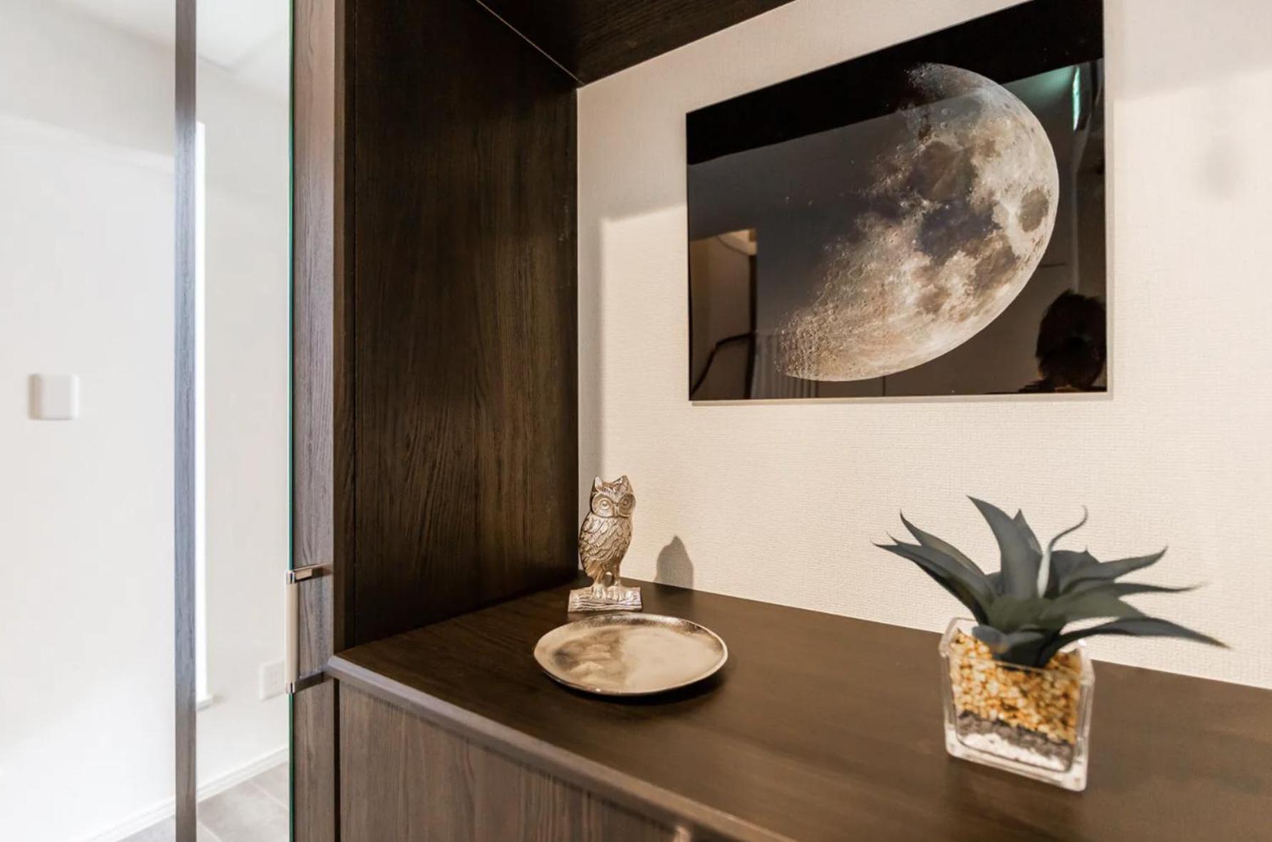 The MOON view 2