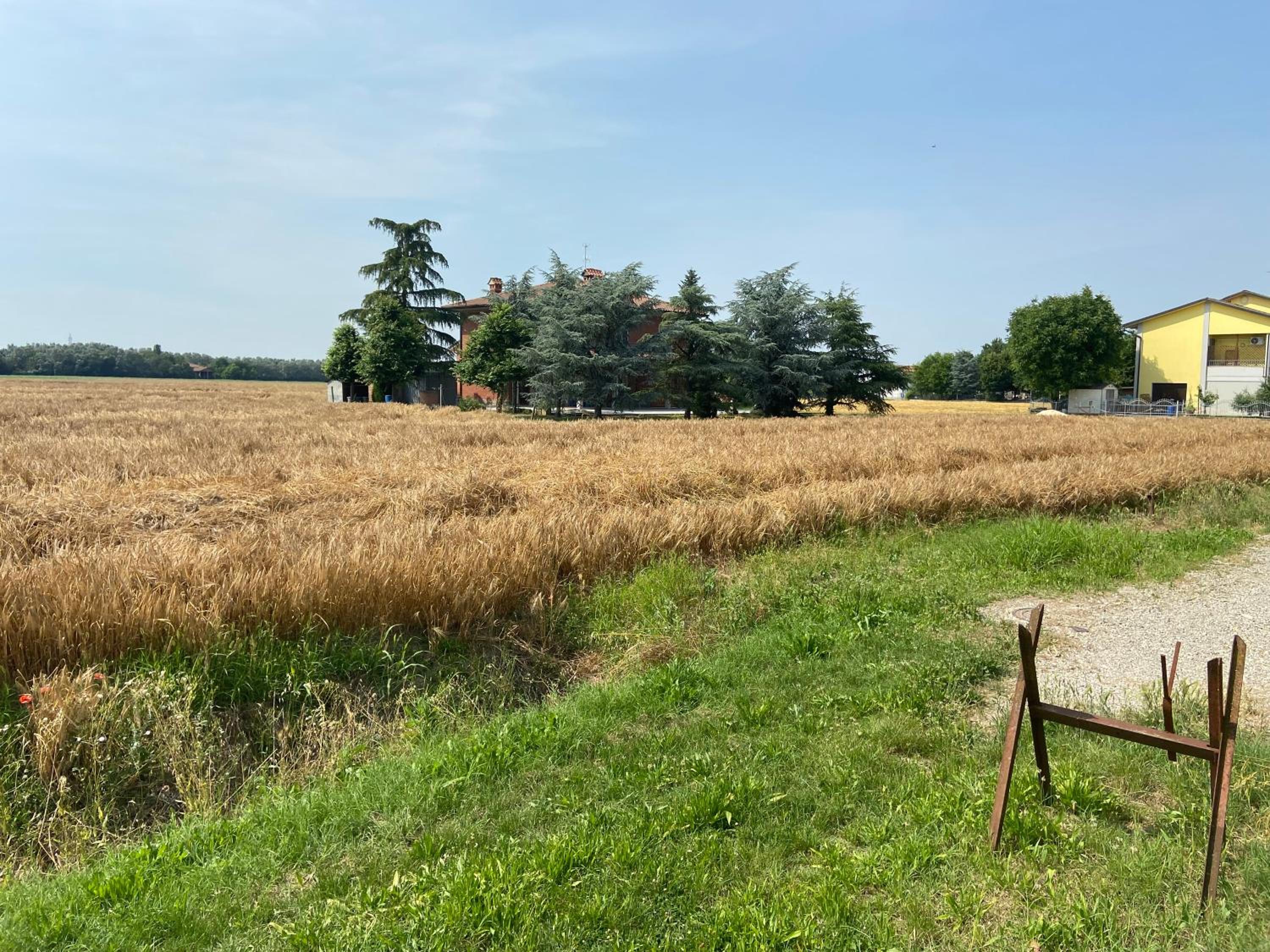 B&B Campi di sole view 3
