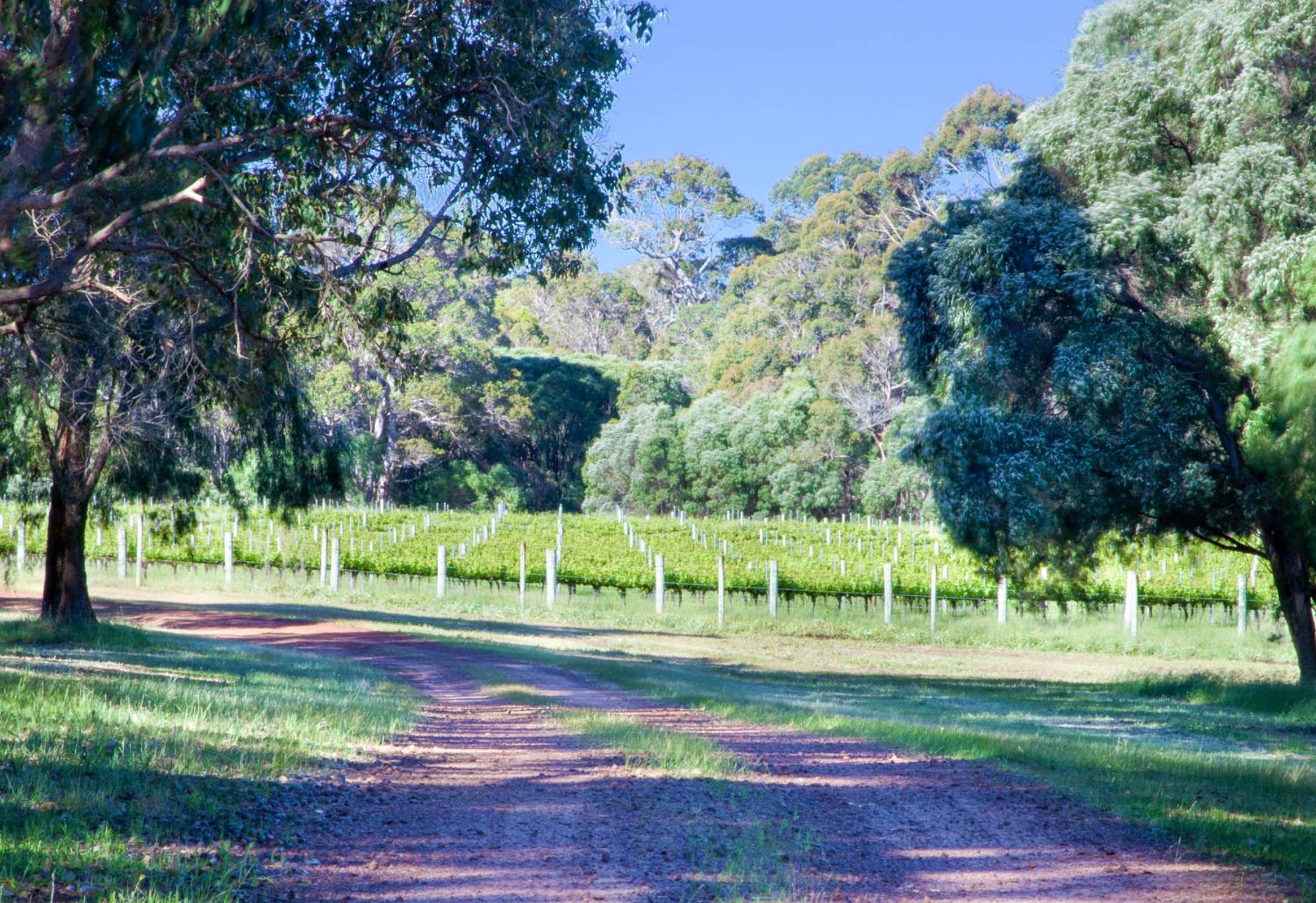Tintagel Estate I Private Properties