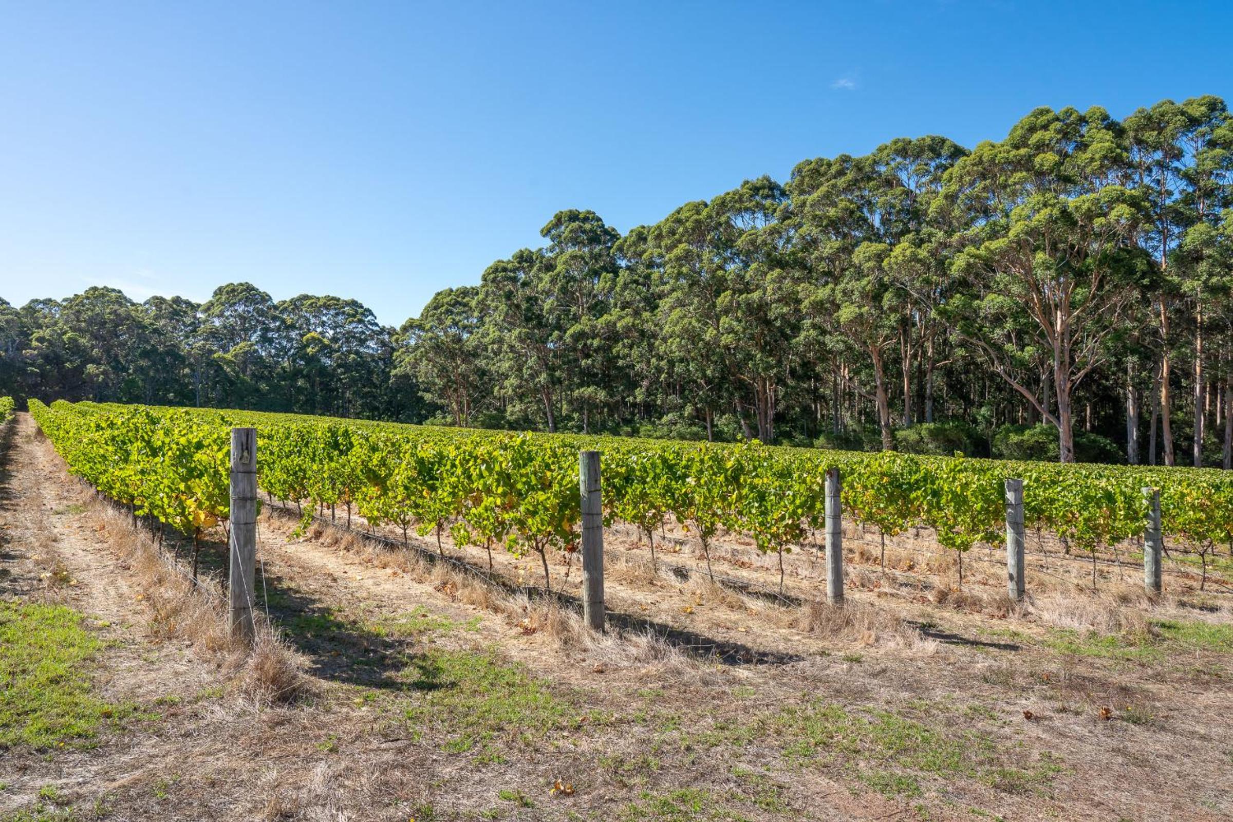 Tintagel Estate I Private Properties